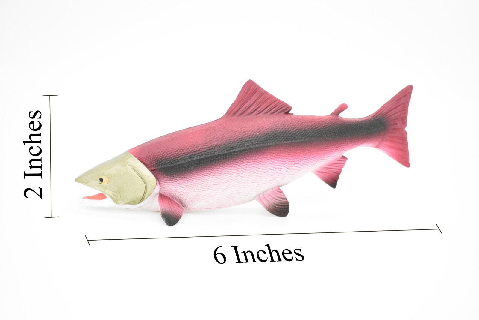 Salmon, King, Spawning, Fish, Figure Realistic Rubber Model, Hand Painted Toy