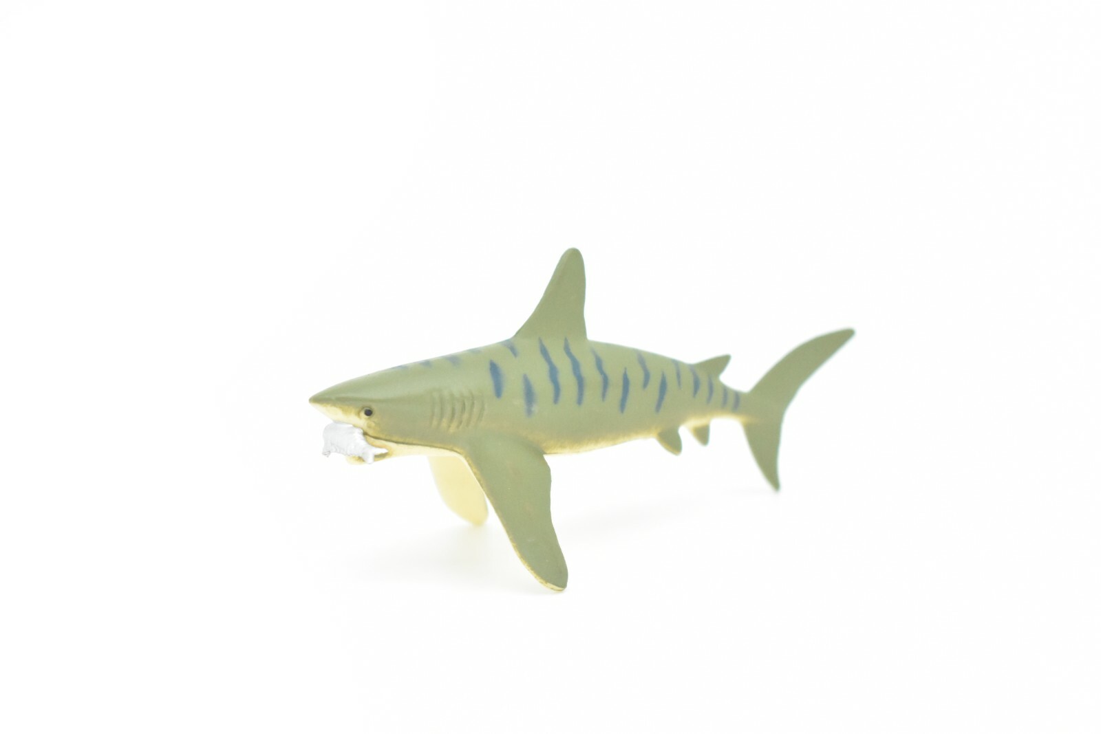 Tiger Shark, With Fish in Mouth, Very Nice Plastic Replica 3″ – F237 B76