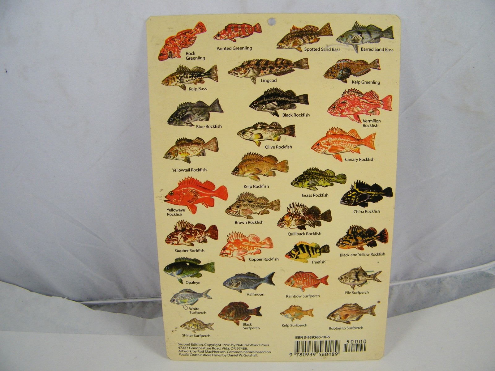 4 FISH GUIDE CARDS NETHERLANDS ANTILLES, MICRONESIA, W CENTRAL PACIFIC, PACIFIC