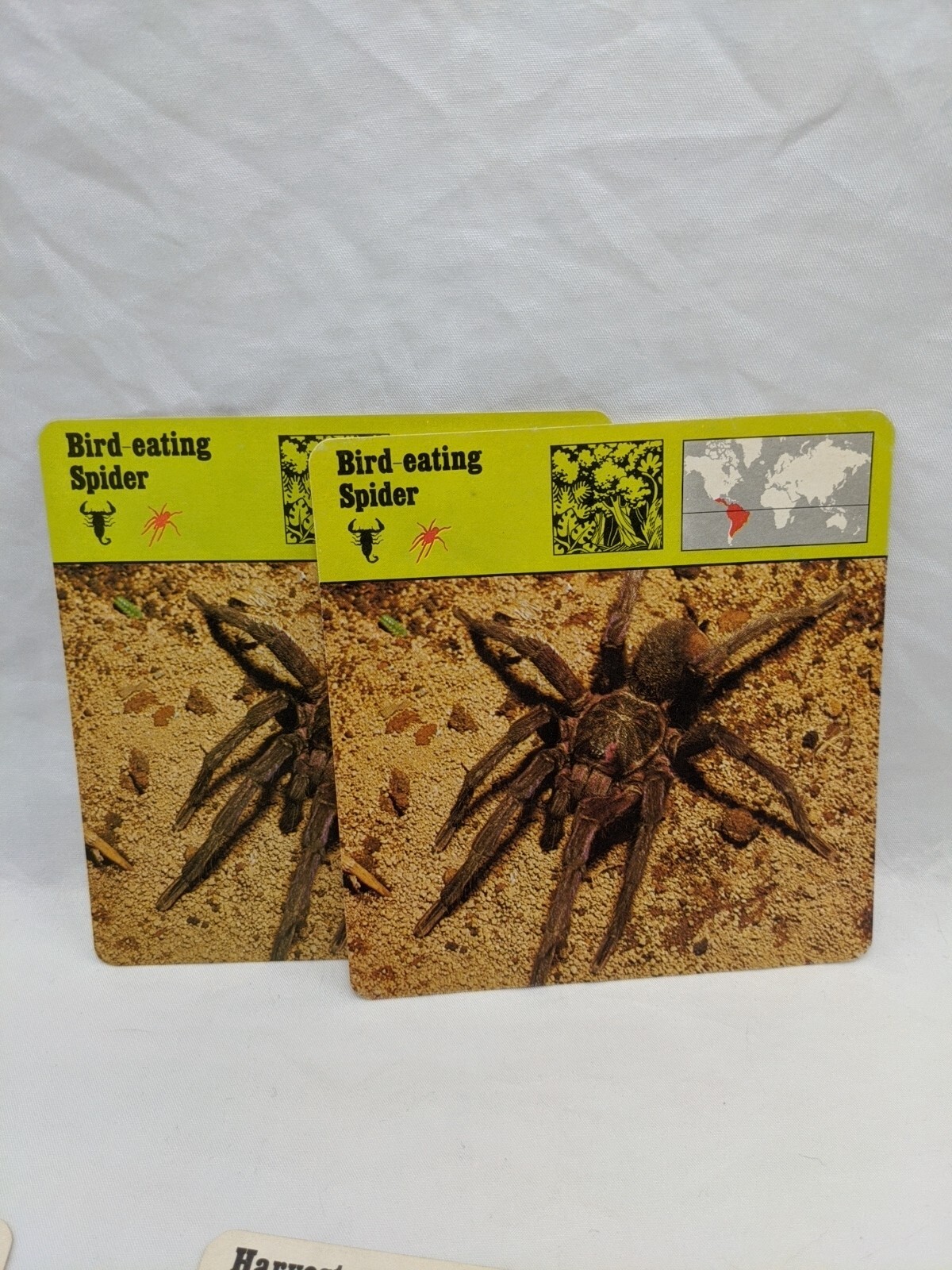 Lot Of (7) 1975 Rencontre Arthropods Education Cards