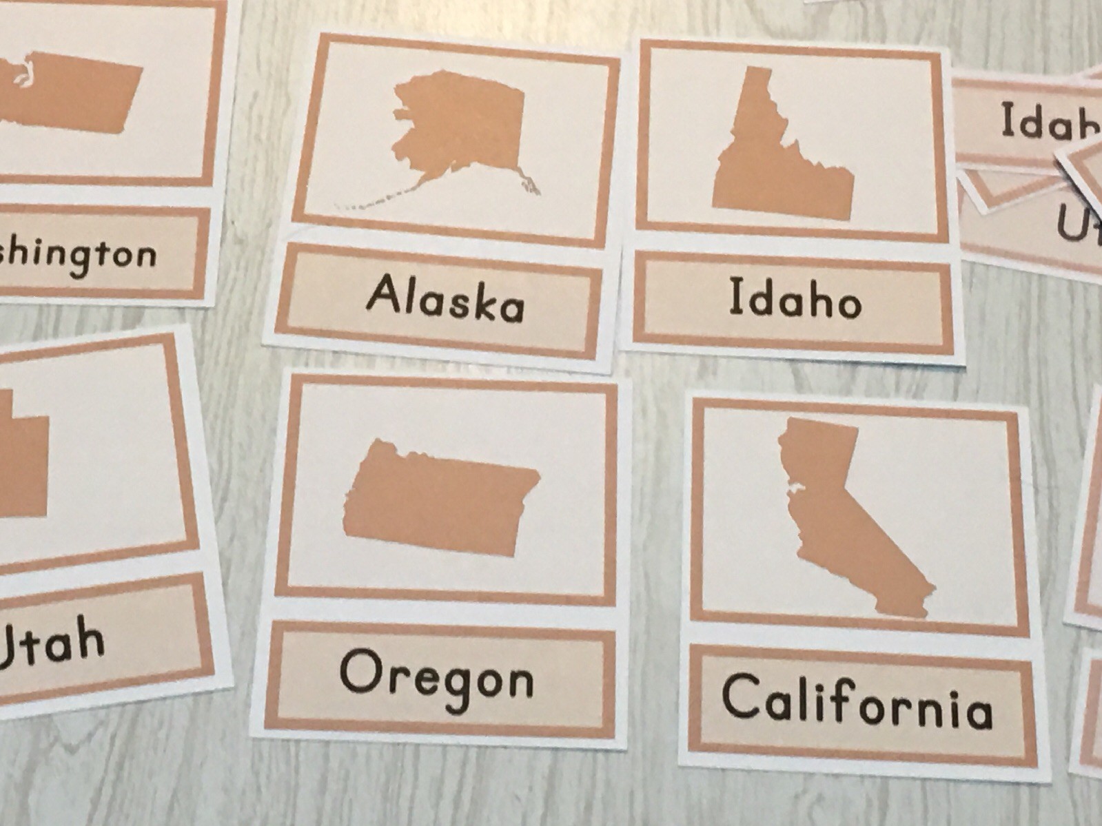 Identifying Fifty States – Three Part Cards – Montessori