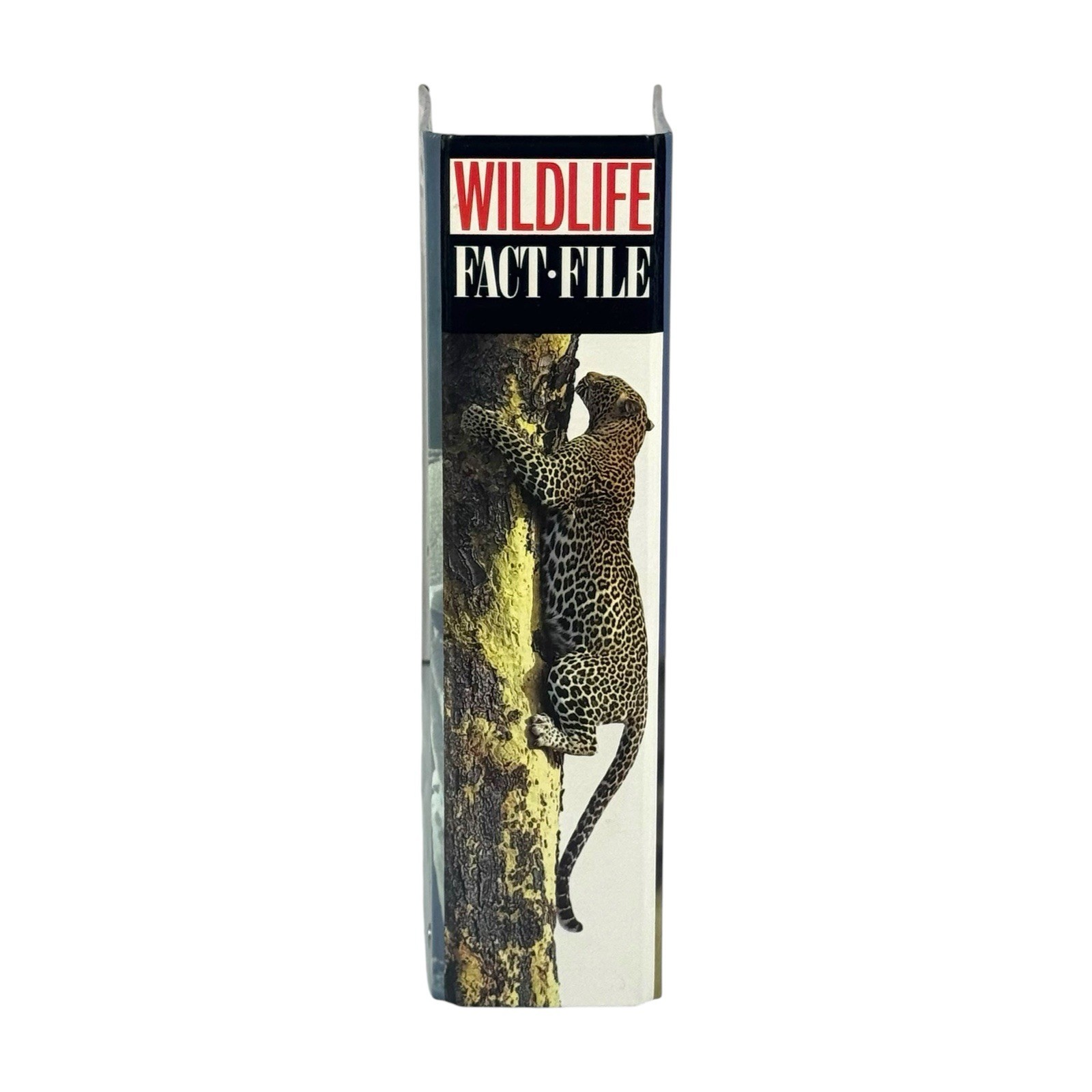 Vintage NOS Wildlife Fact File Binder + 13 Sealed Packs Of Cards