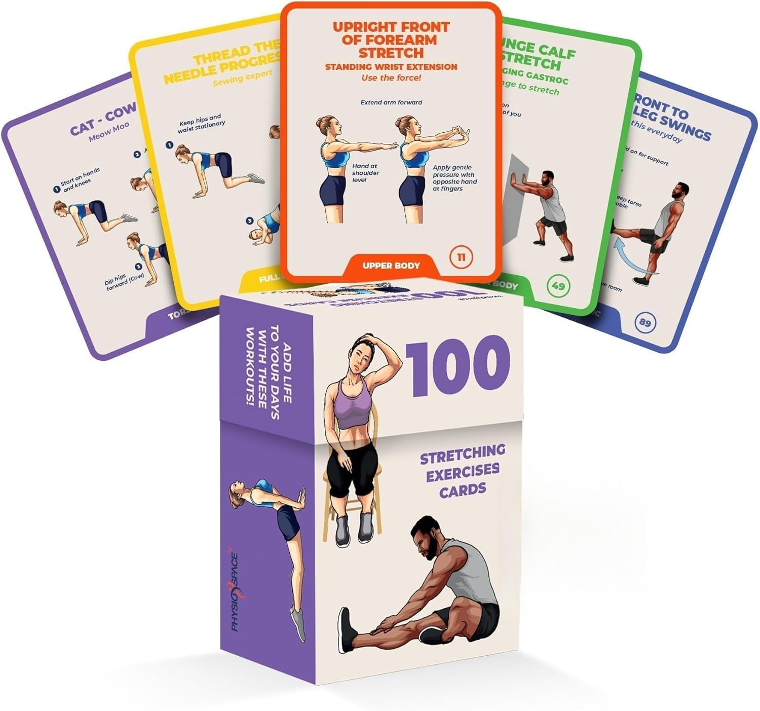100 Stretching Exercise Flash Cards – Physical Therapy Stretches for Common C…