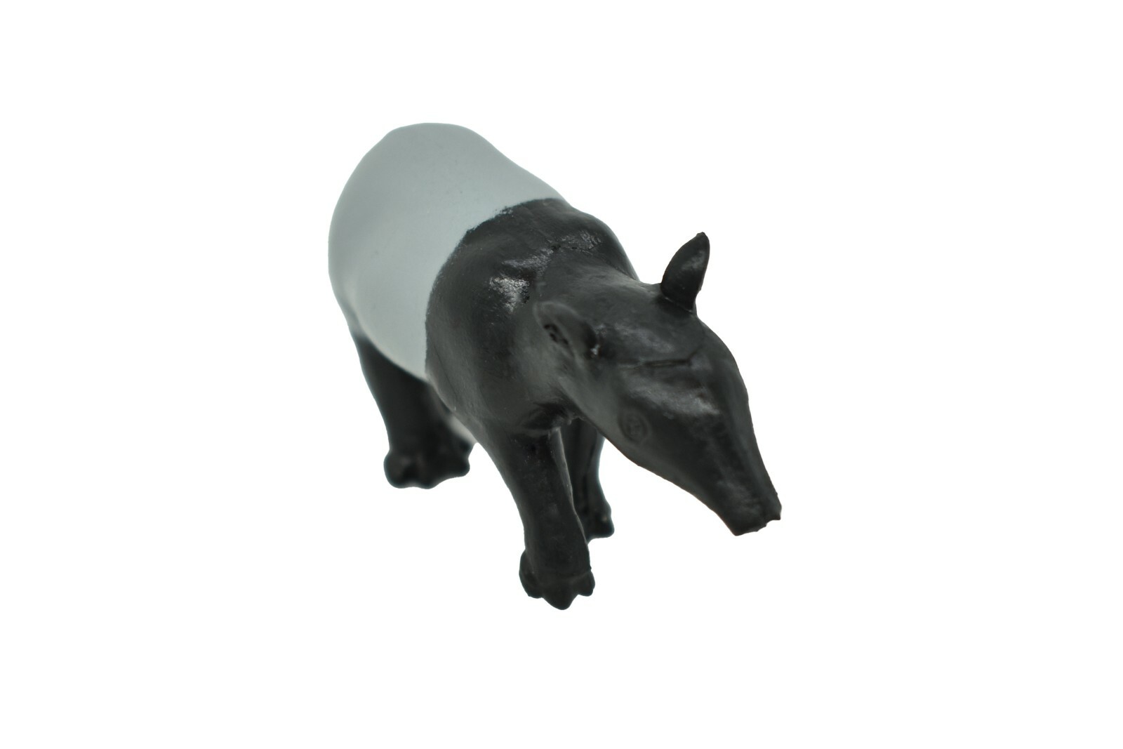 Tapir, Talulah Plastic Animal Toy Realistic Hand Painted Figure Life F100 B43