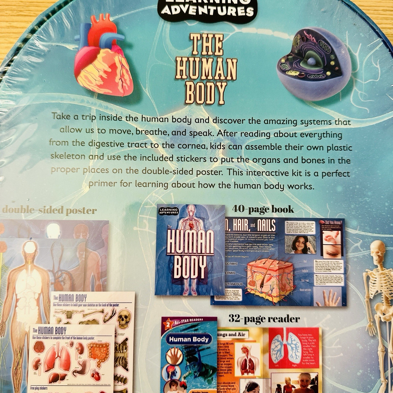 The Human Body Learning Adventures Book Reader Cards Stickers Skeleton Model Etc