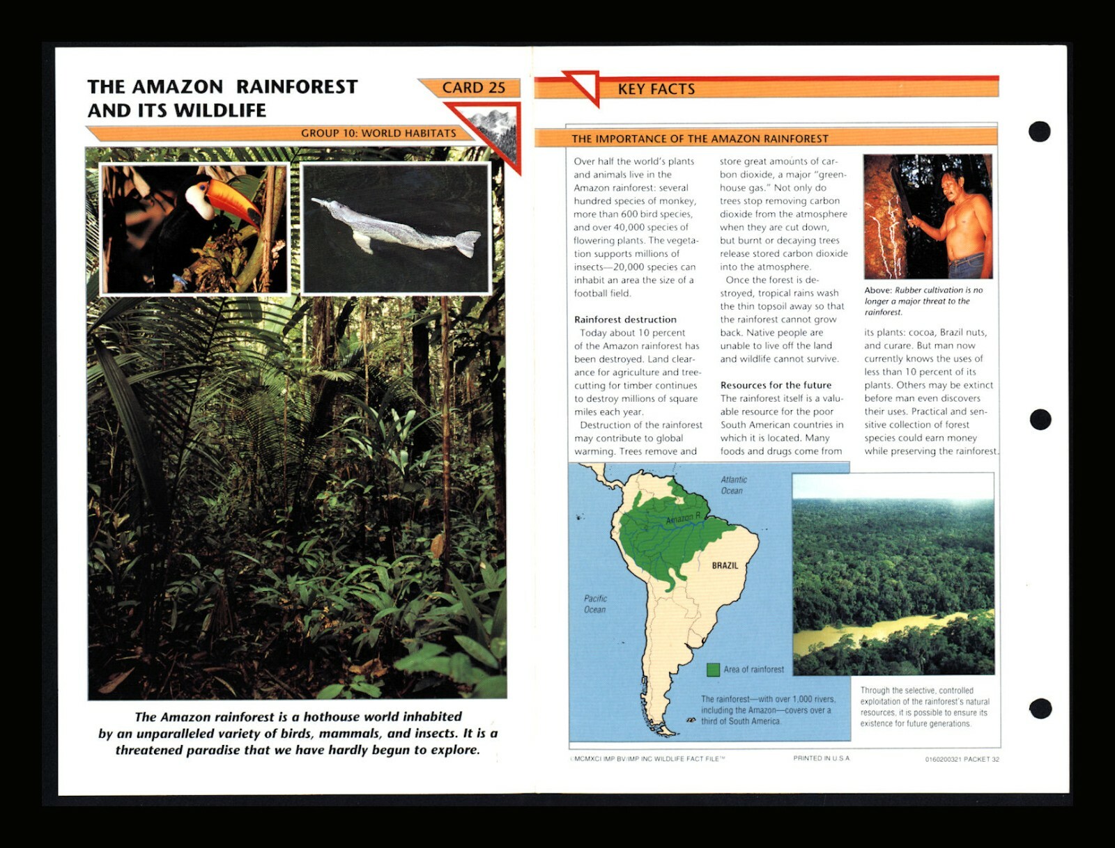 Amazon Rainforest & Its Wildlife Fact File Card World Habitats Home School 10.24