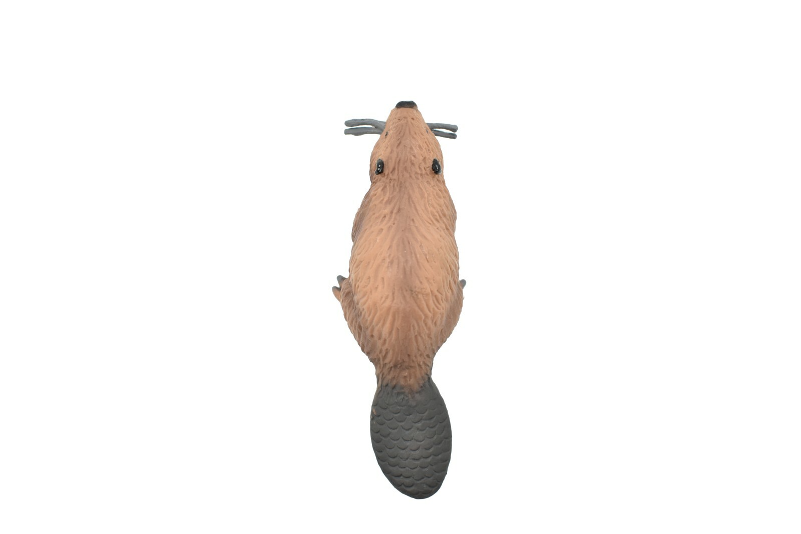 Beaver, Castor, Very Nice Plastic Animal, Toy, Kids Realistic Figurine 4.5 F1651