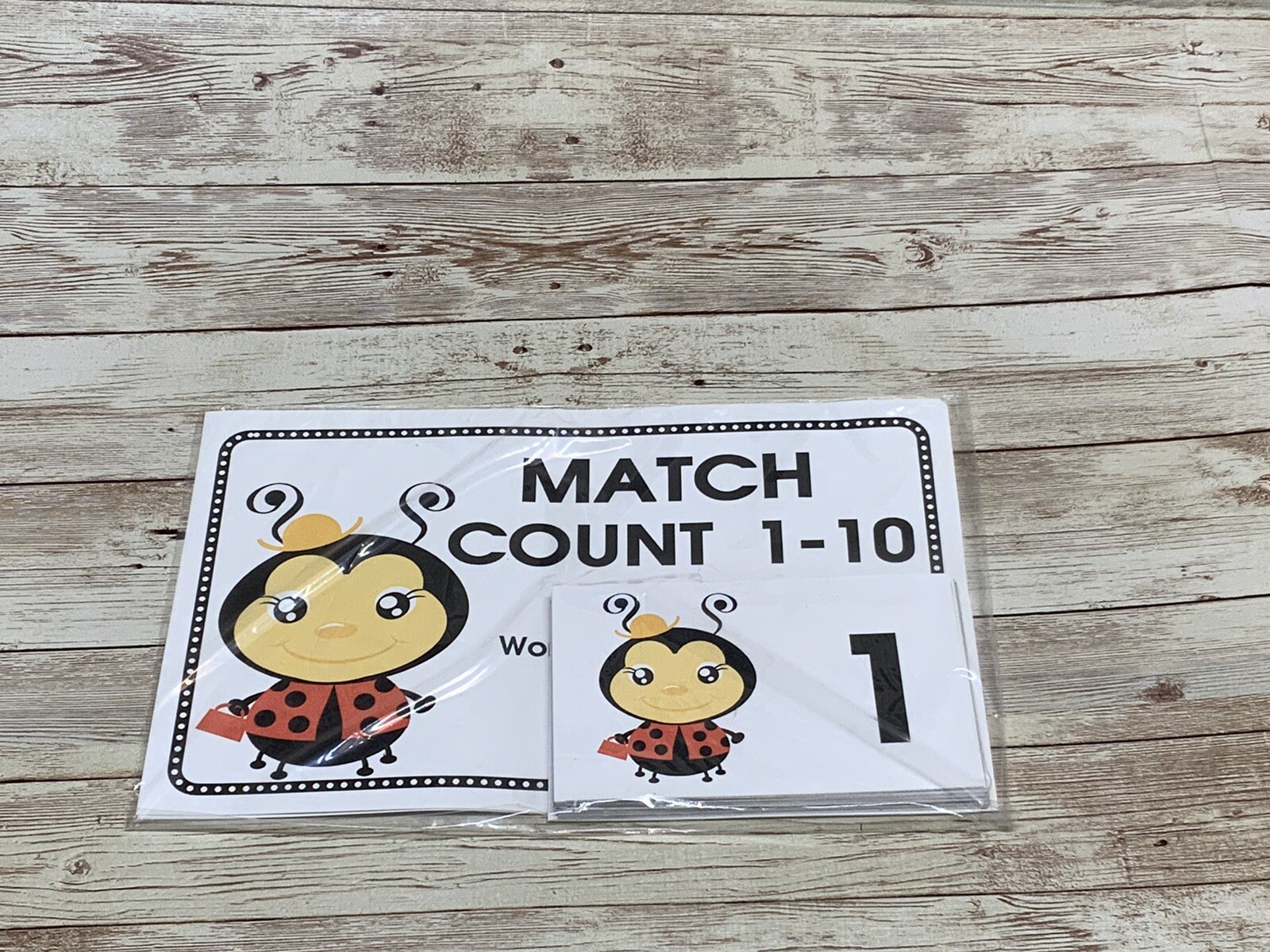 Lady Bug – Themed Learning Centers – Laminated Match Count 0-10