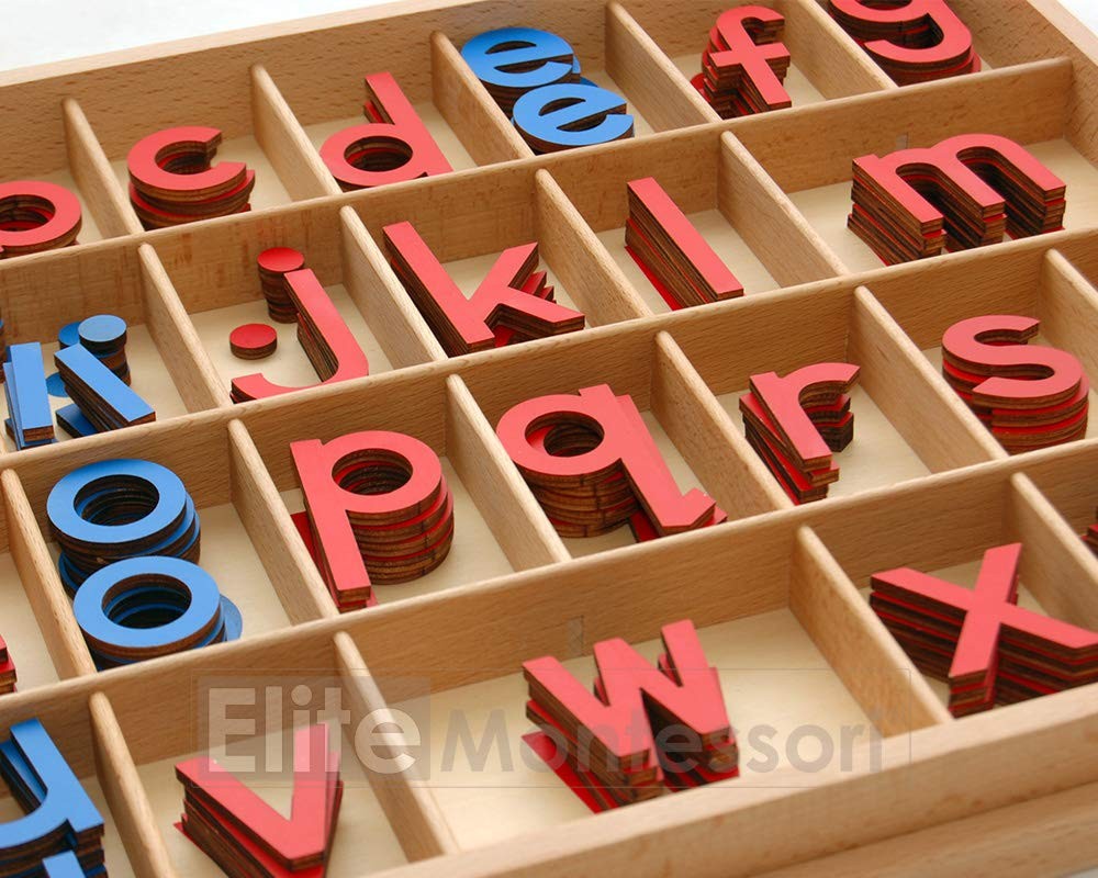Elite Montessori Wooden Movable Alphabet with Box Preschool Spelling Learning Ma