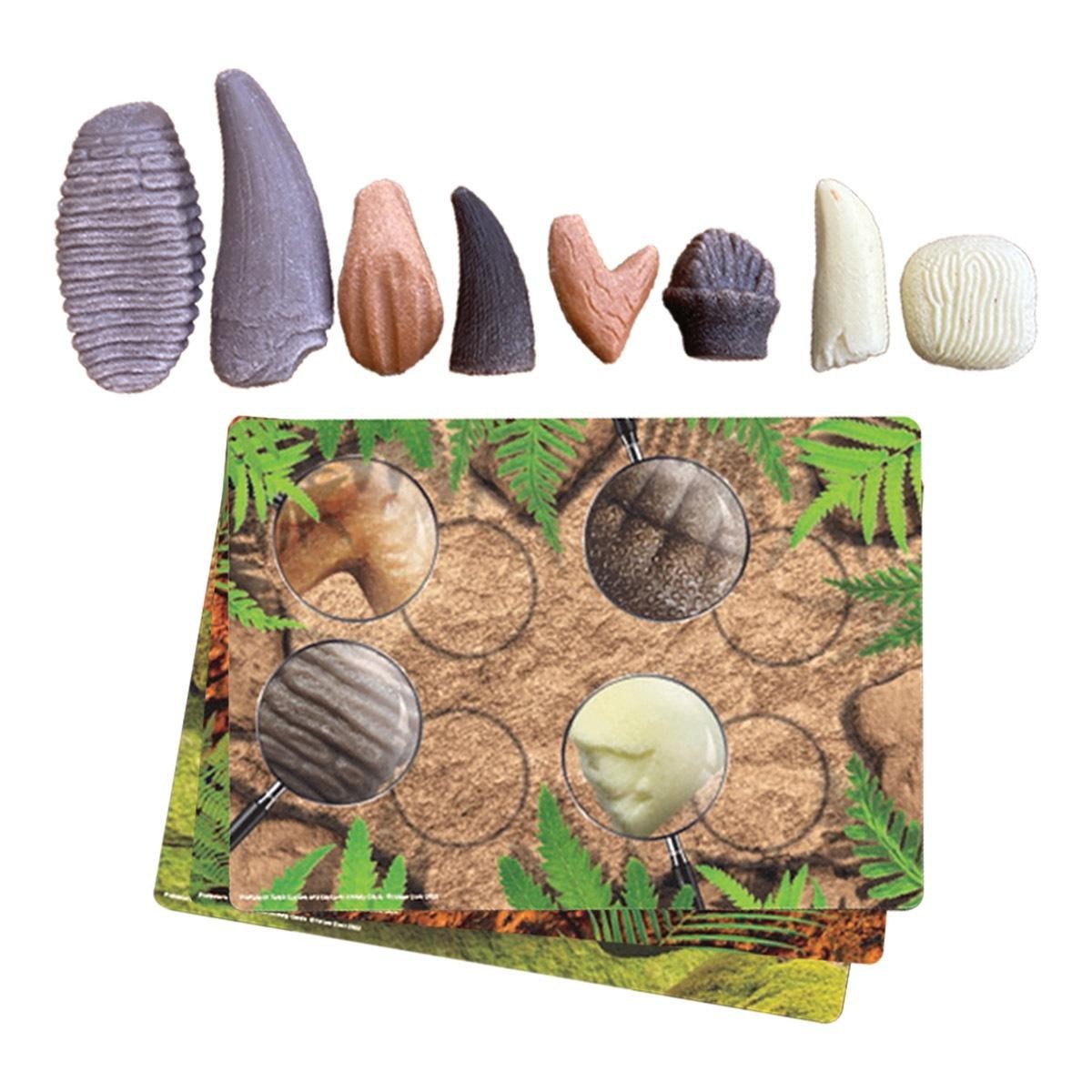 Yellow Door Sensory Prehistoric Teeth Stones and Activity Cards Set
