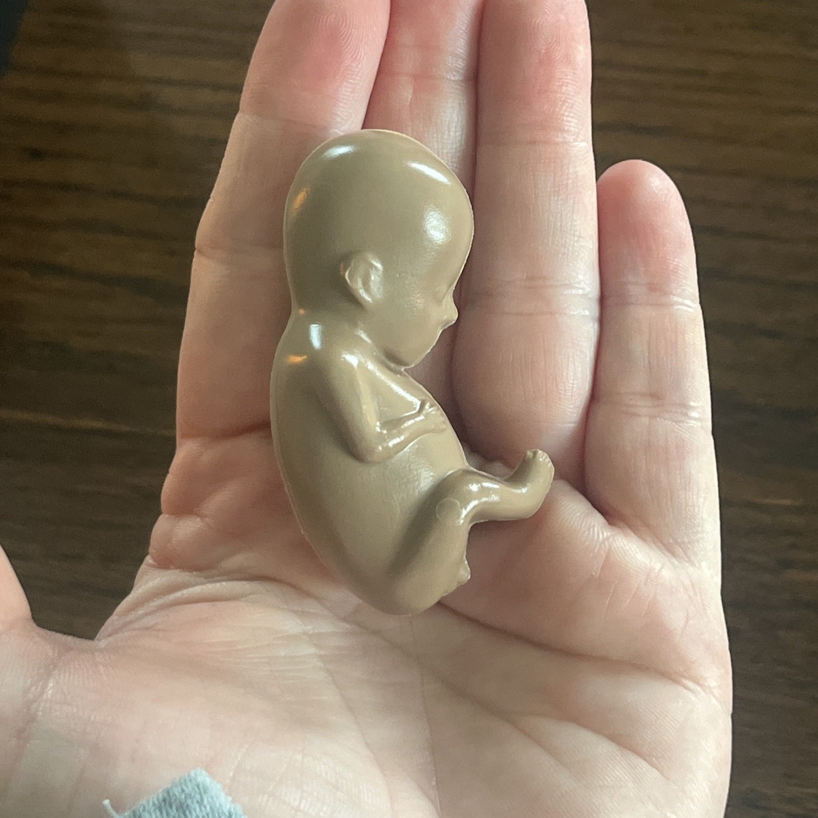 Preborn Pro-life Heats Learning Tool Fetus 11-12 Week Figure