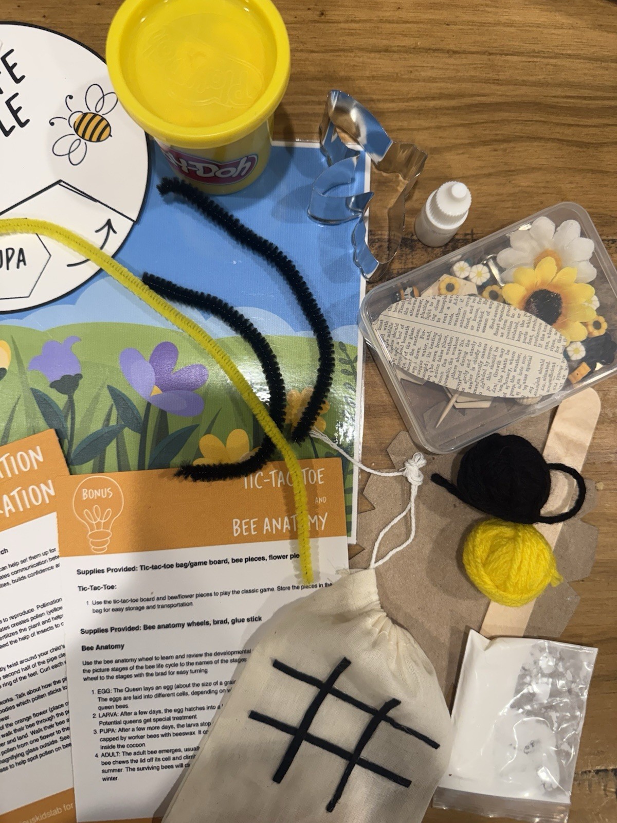 Bee Activity Box sensory learning hands on learning