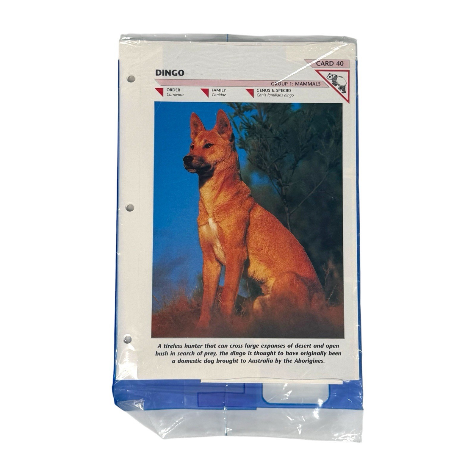 Vintage NOS Wildlife Fact File Binder + 13 Sealed Packs Of Cards