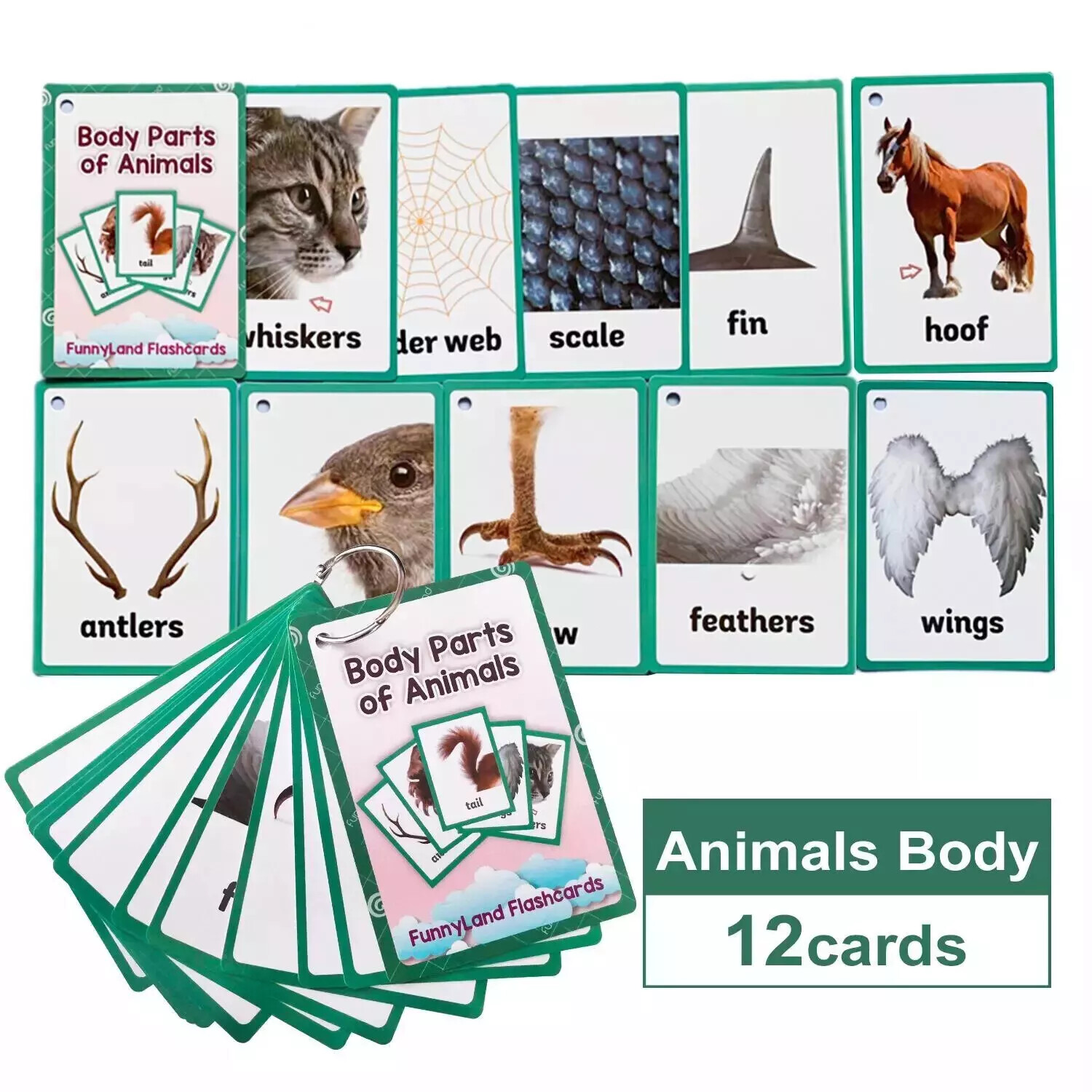 English Words Learning Flashcards for Kids 3-6 Years Reading Enlightenment Toys