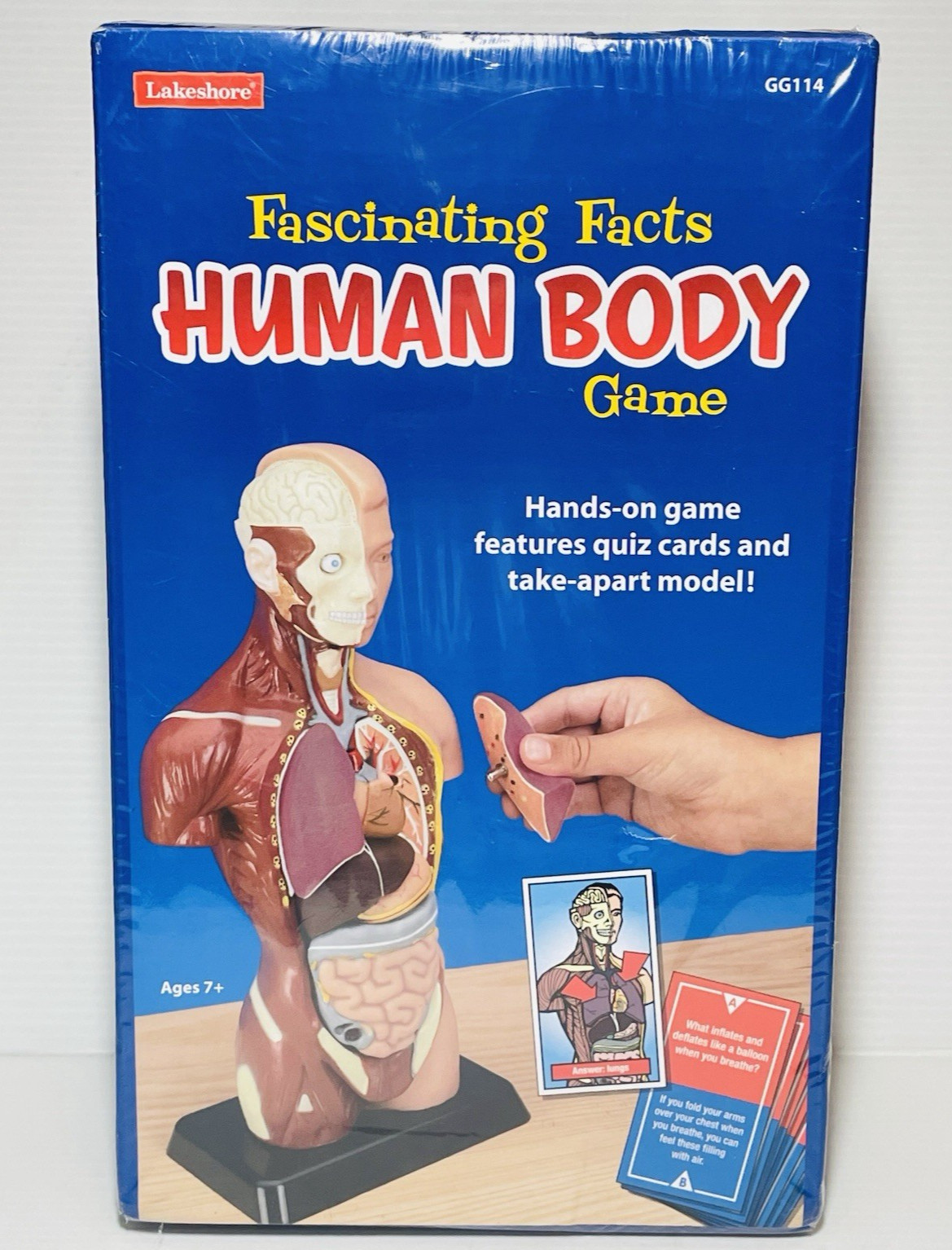 Lakeshore Fascinating Facts Human Body Game Learning Quiz Card Game NEW Sealed.