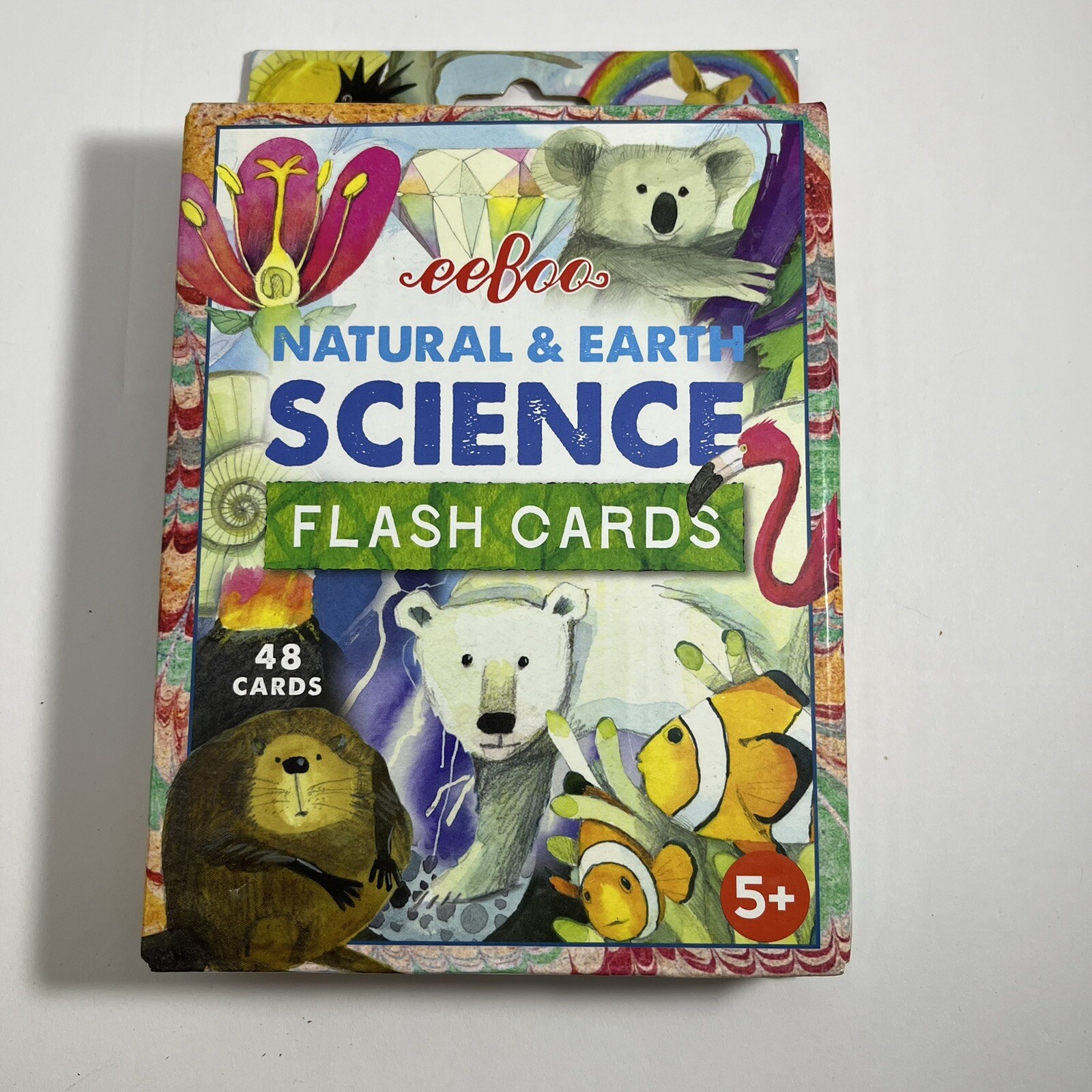 Eeboo Natural & Earth Science Flash Cards Educational Homeschool Nature Learning