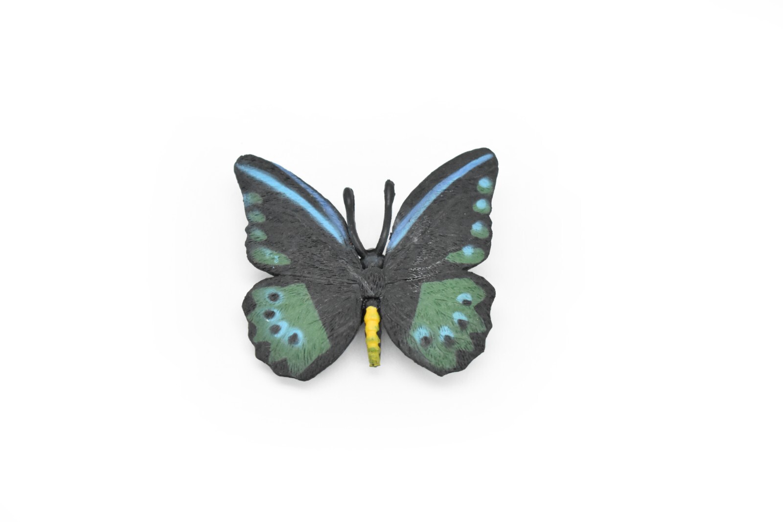 Butterfly, Black Blue & Green, Realistic Figure, Model, Replica, Kids 2″ F4490
