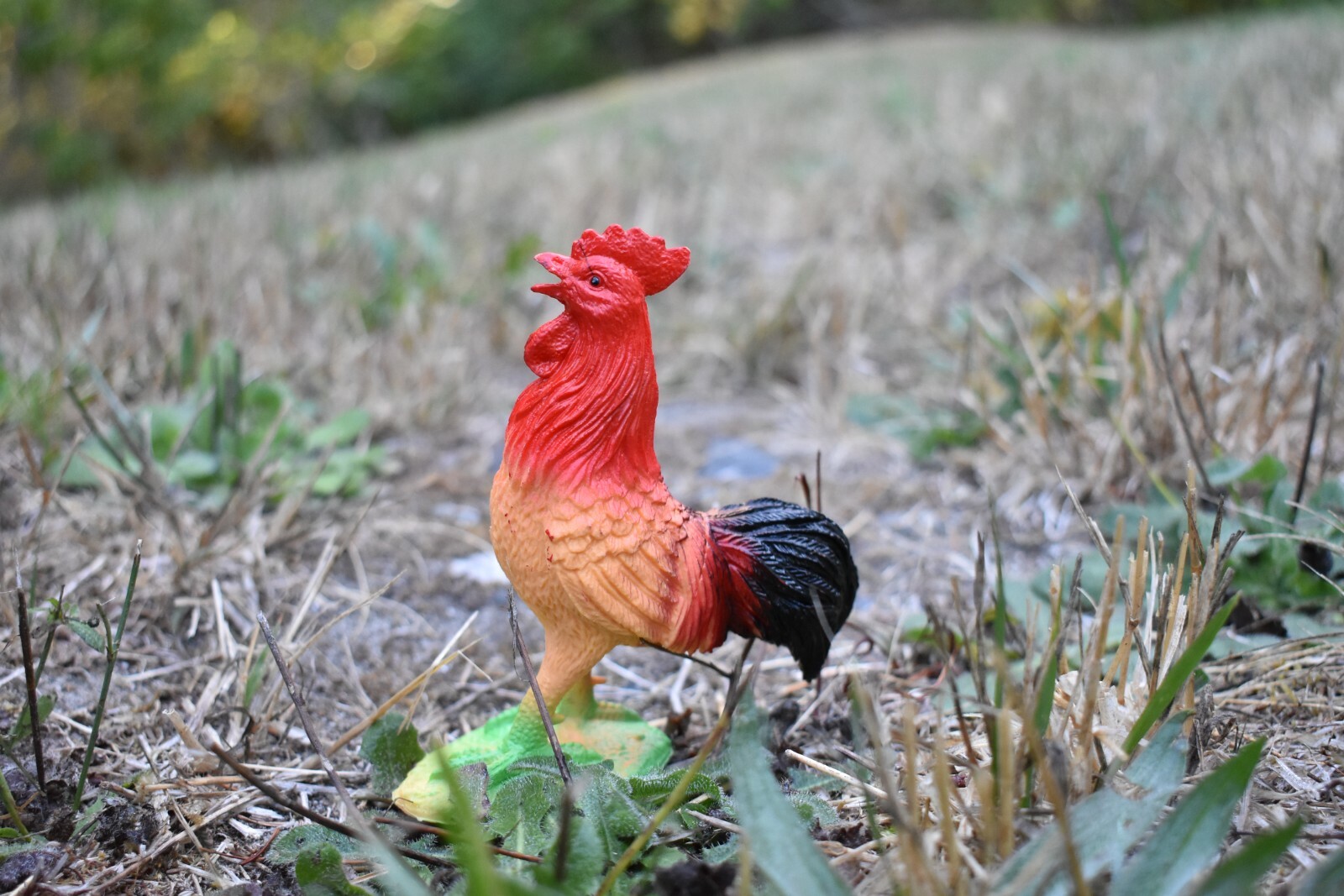 Chicken Rooster Realistic Small Toy Model Plastic Replica Barn Animal 4.5″ FN8
