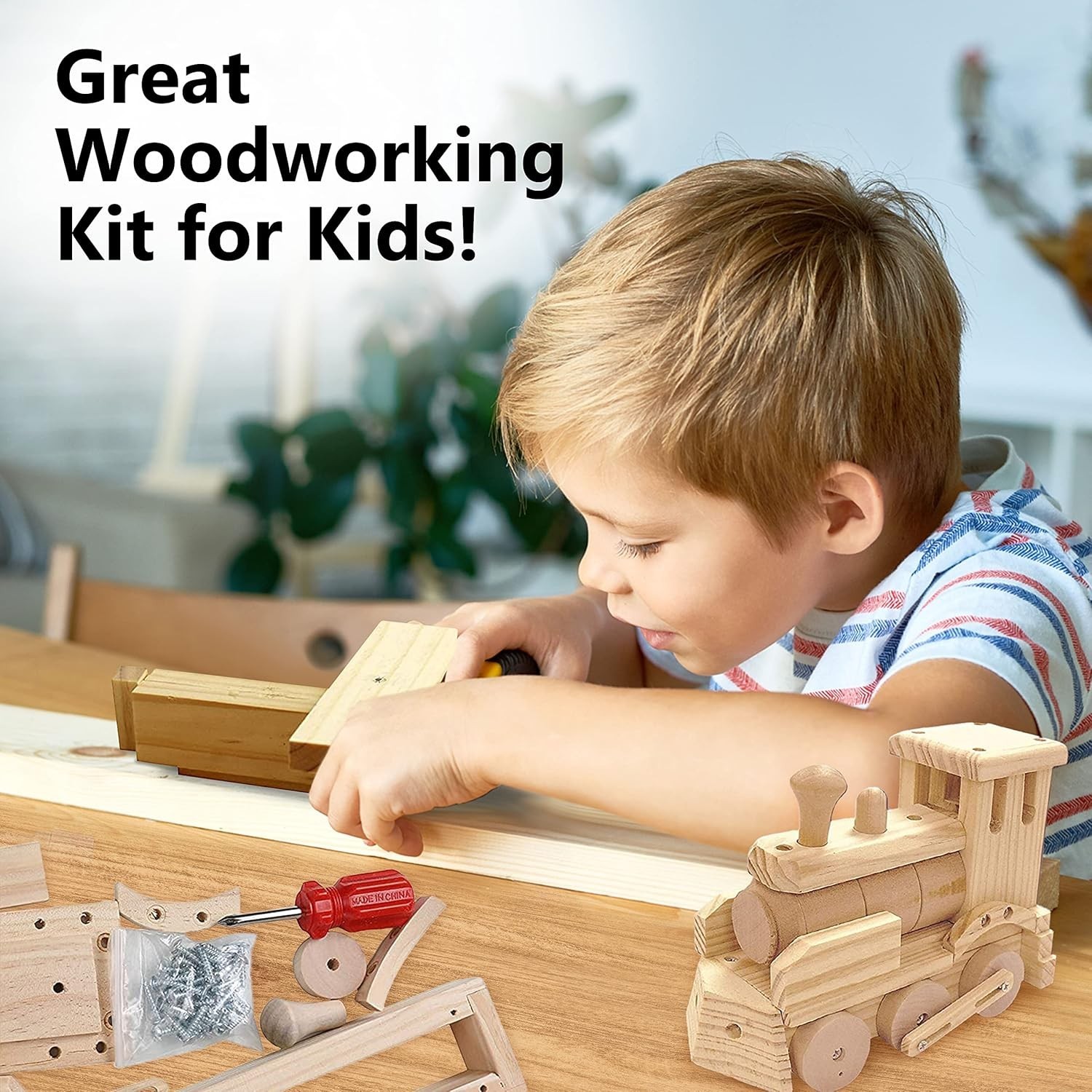 Woodworking Building Kit for Kids and Adults, 2 Educational DIY Carpentry