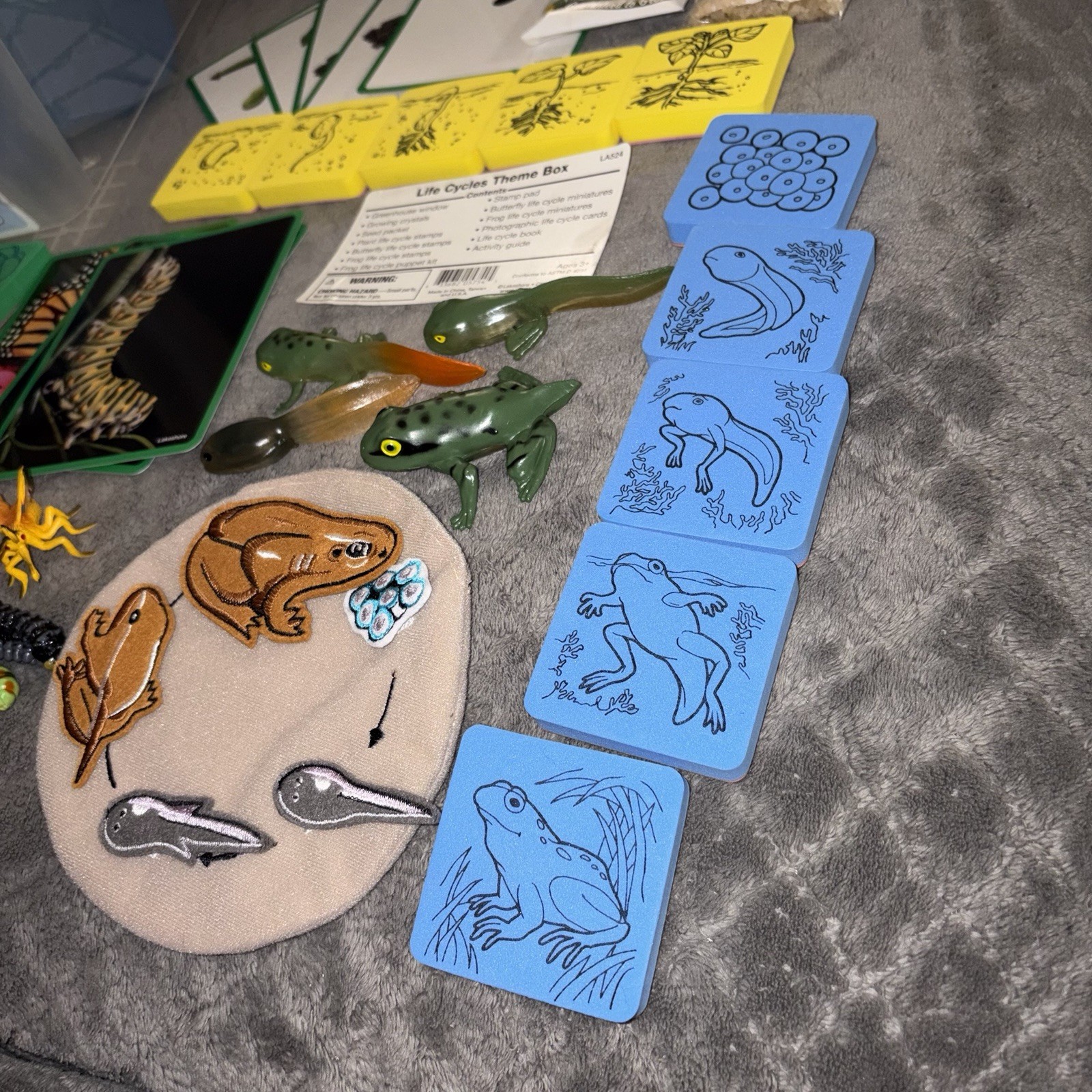 Lakeshore Life Cycles Biology Theme Box Butterfly Frog Greenhouse USA Animals