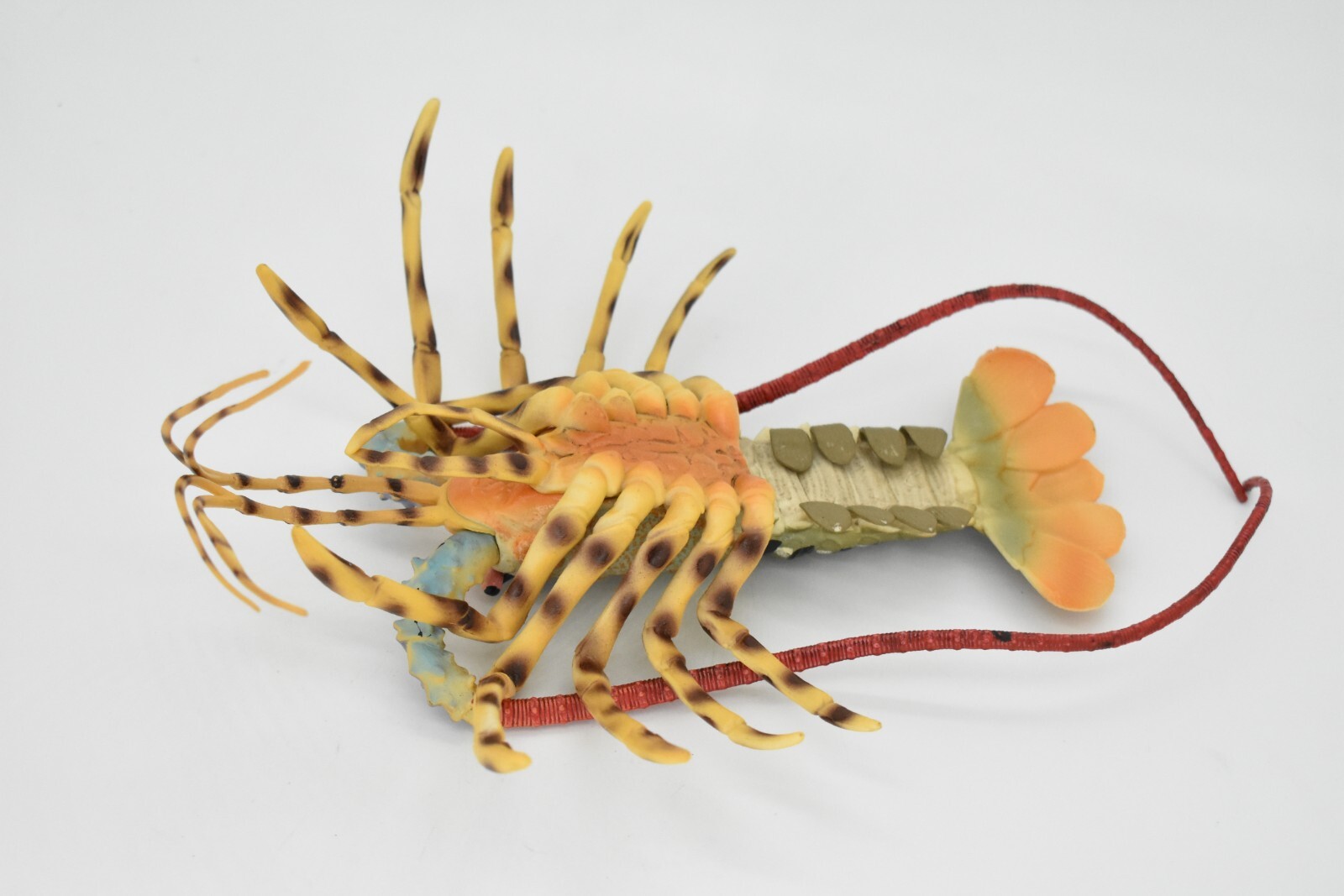 Lobster Toy, Pacific, Australian, Educational Realistic Rubber Model, Figure 12″
