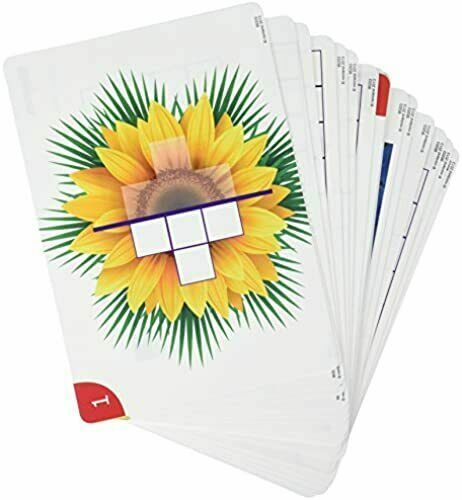Miniland Cubes Math Activity Cards with Teaching Guide Multi-Language Manual