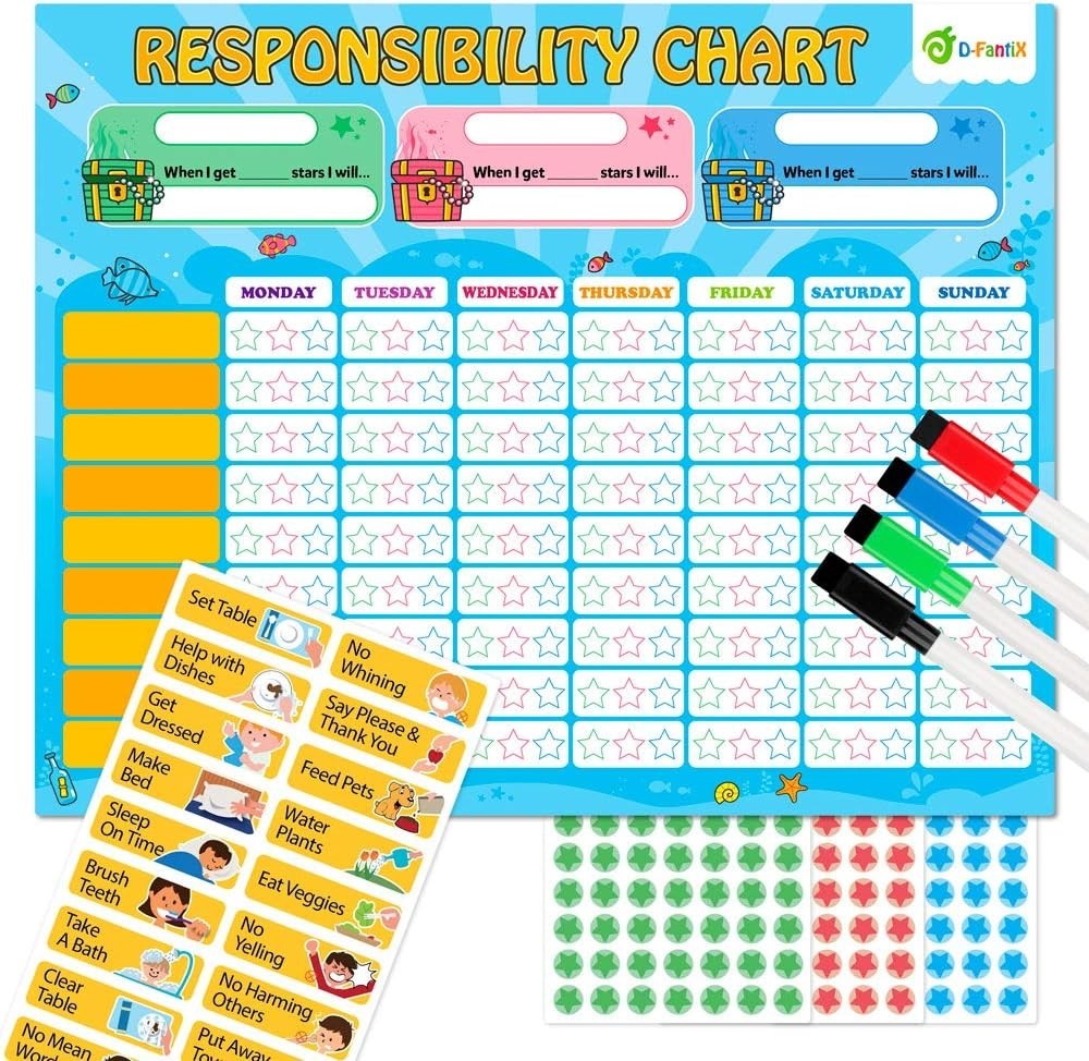 Magnetic Behavior Chart for Good Behavior and Daily Routine