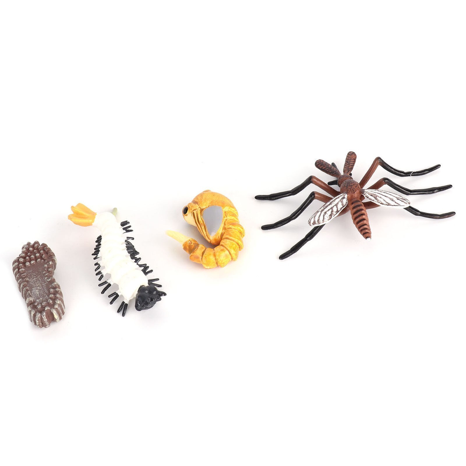 Insect Life Cycle Figurines Vinyl Ant Growth Model Toy Educational Mosquito Life