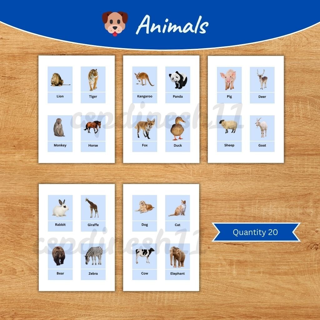 Printable Kids Flash Cards Bundle | Fruits, Vegetables, Animals, Birds, Fish