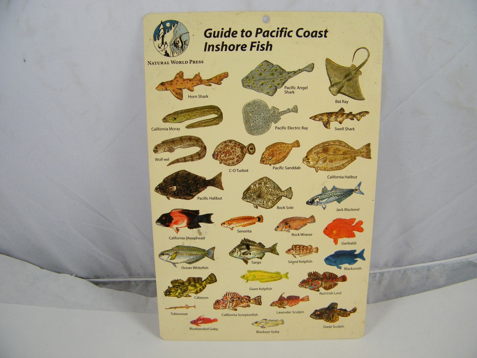4 FISH GUIDE CARDS NETHERLANDS ANTILLES, MICRONESIA, W CENTRAL PACIFIC, PACIFIC