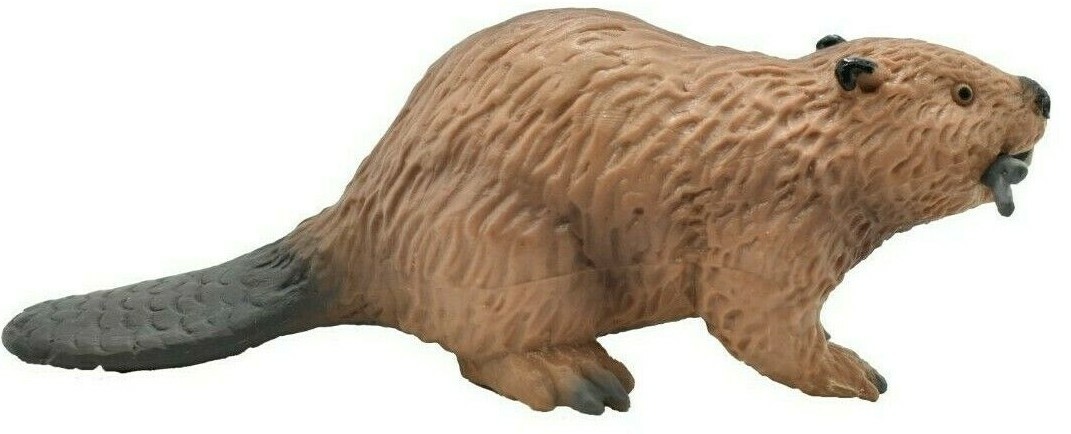 Beaver, Castor, Very Nice Plastic Animal, Toy, Kids Realistic Figurine 4.5 F1651