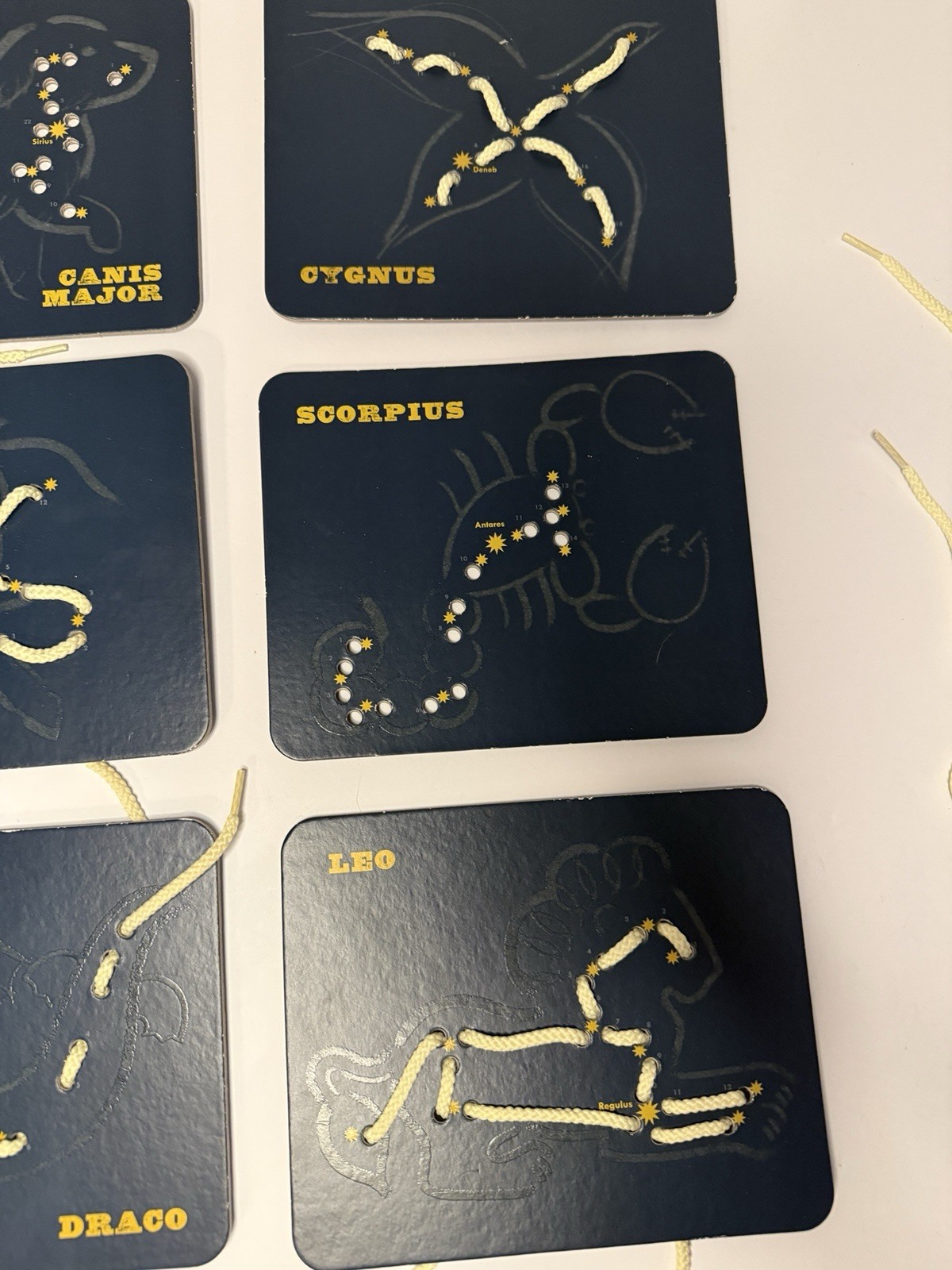 Constellation Lacing 9 Cards Animals In The Stars Chronicle Books Montessori Fun