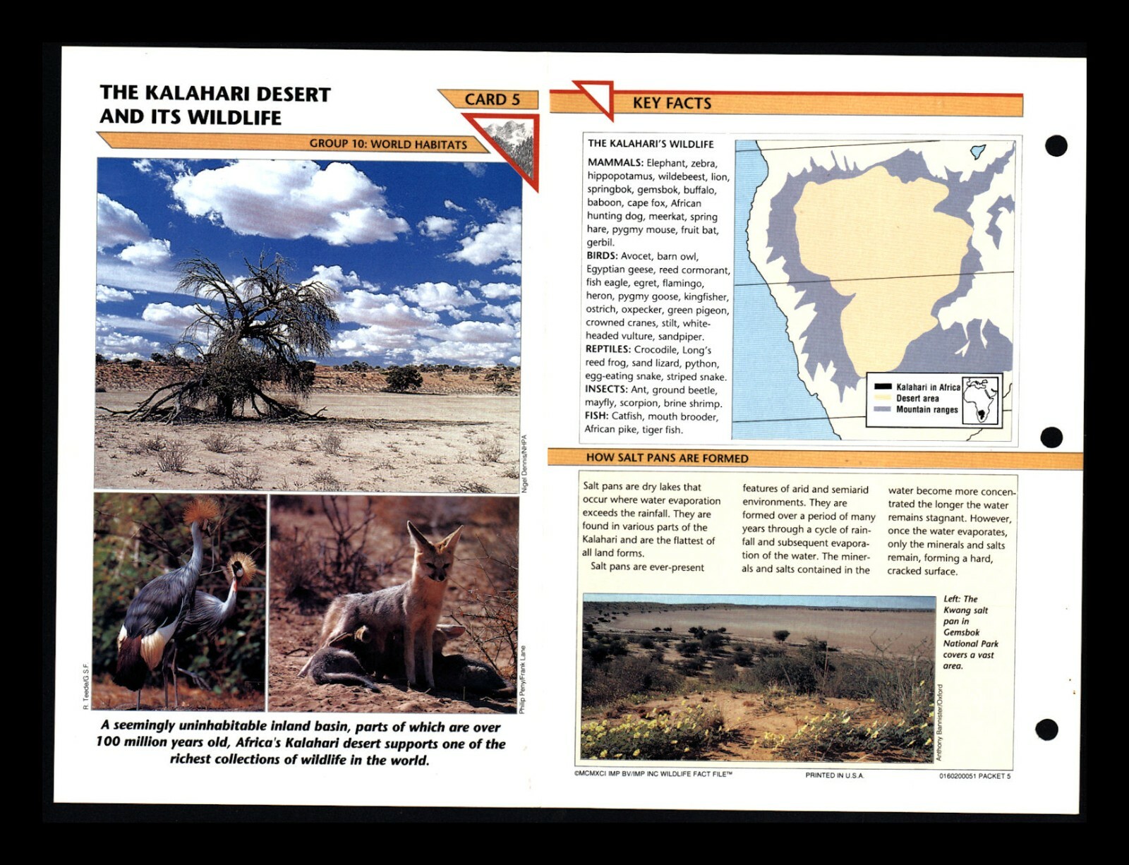 Kalahari Desert and its Wildlife Fact File Card World Habitats Home School 10.5