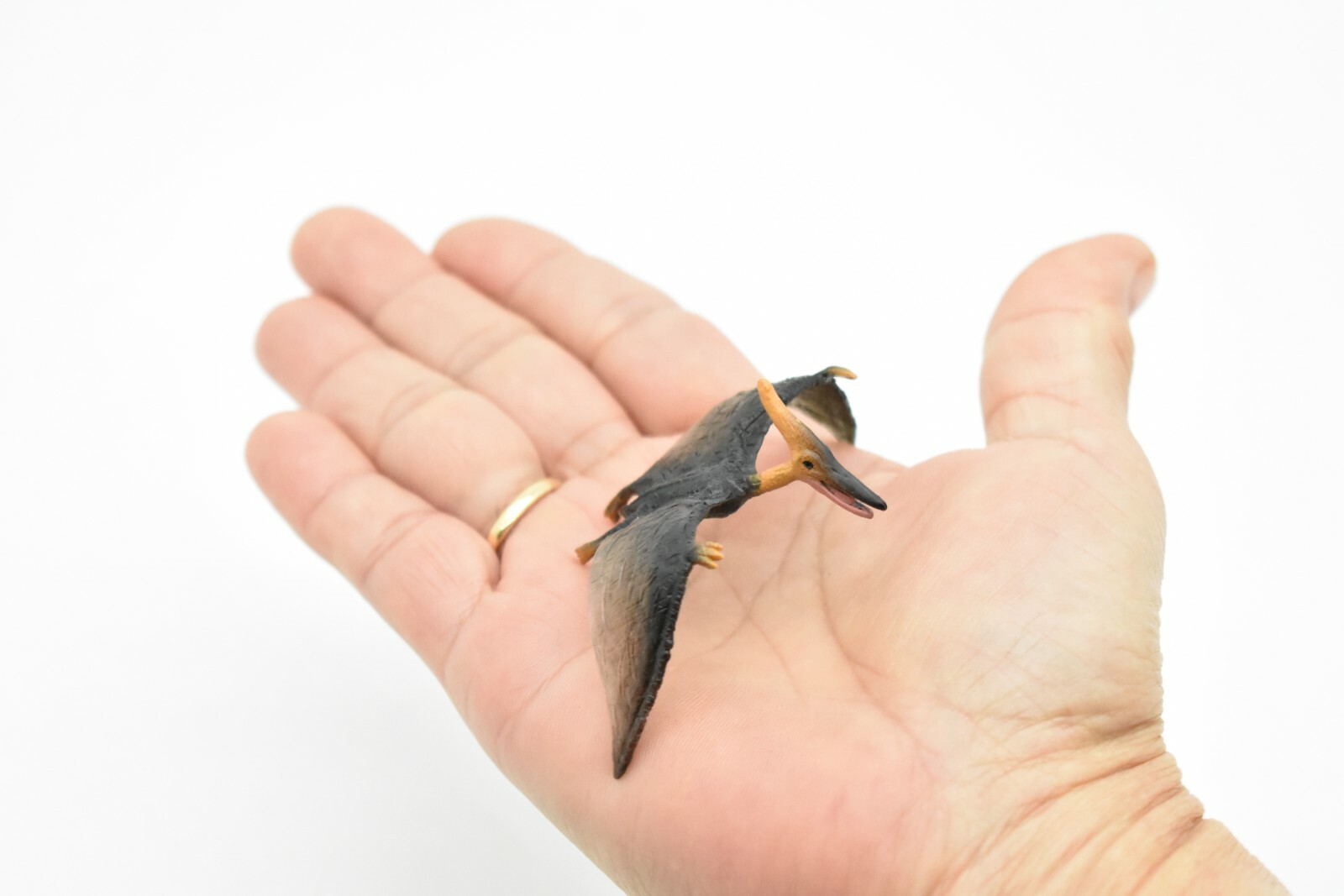 Pteranodon Dinosaur, Very Nice Plastic Replica 3″ F8121-B117