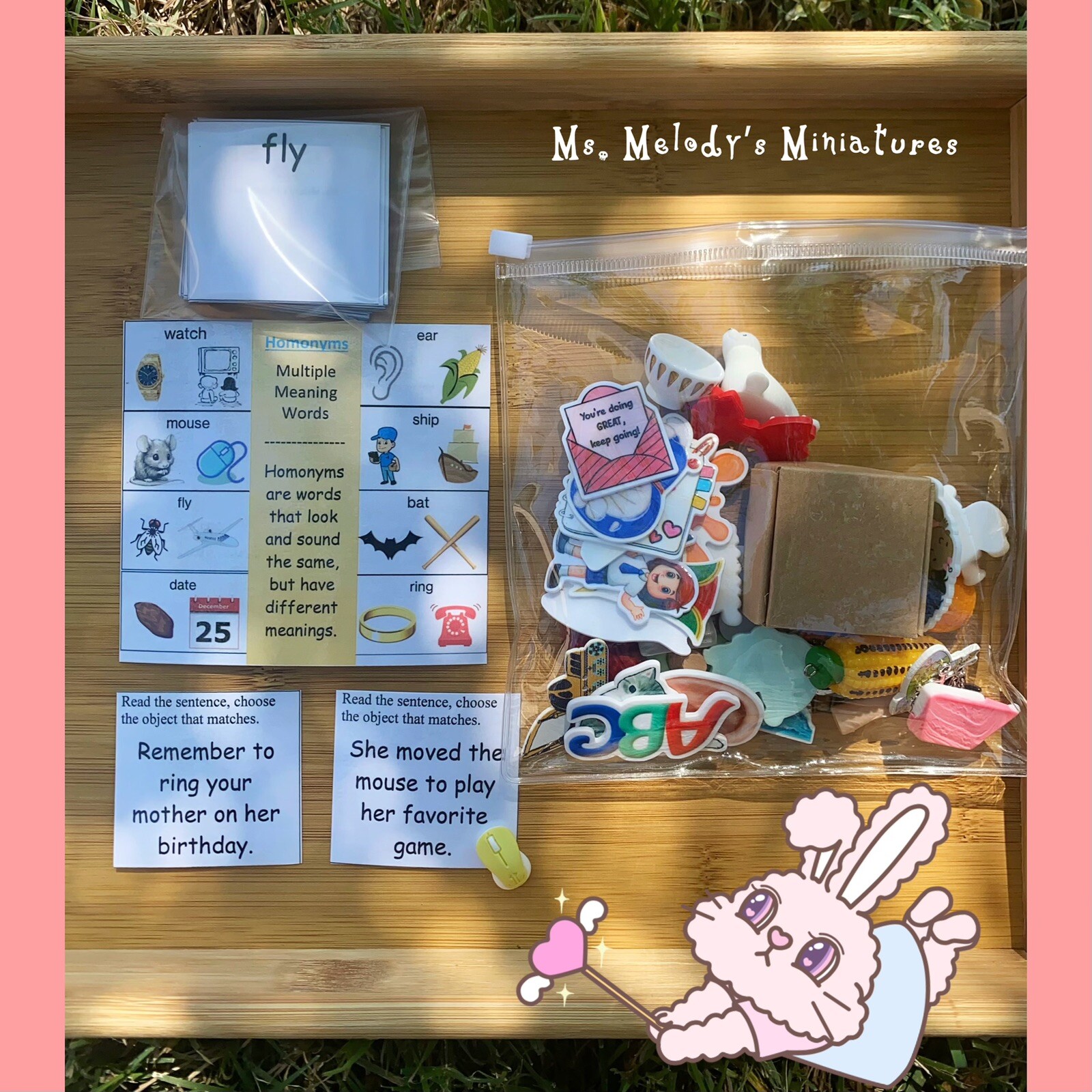 Multiple Meaning Words Homonym Semantic Mini Objects Vocabulary Spelling SLP