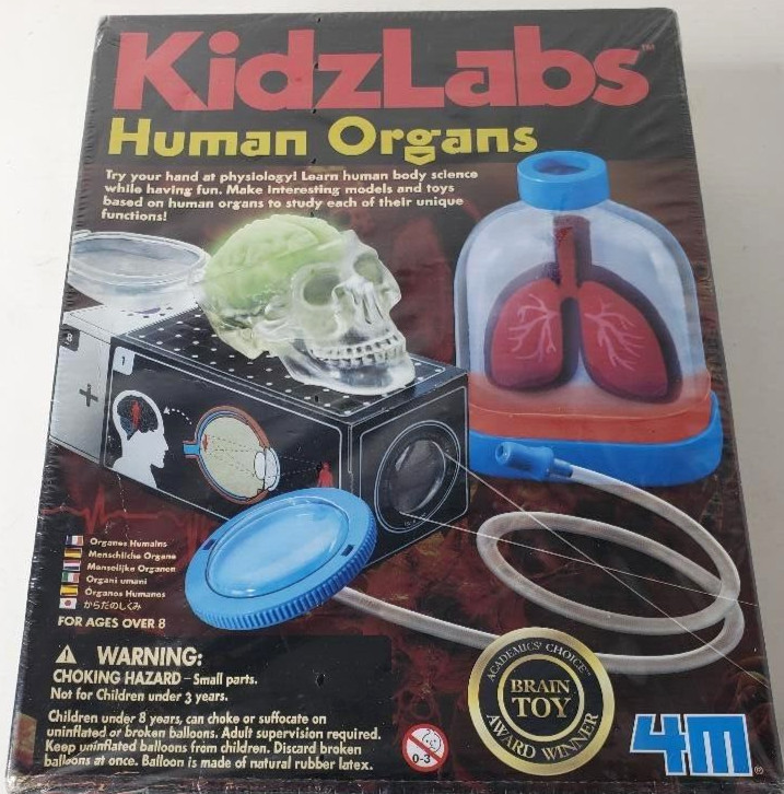Kidz Labs Human Organs Brain Educational Learning Toy Academics’ Choice Toy New