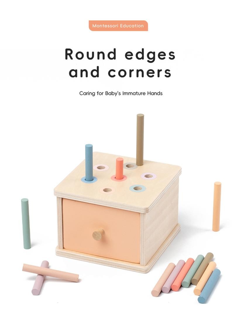 Montessori Wooden Sorting Blocks Color Shape Matching Educational Kids Early Toy