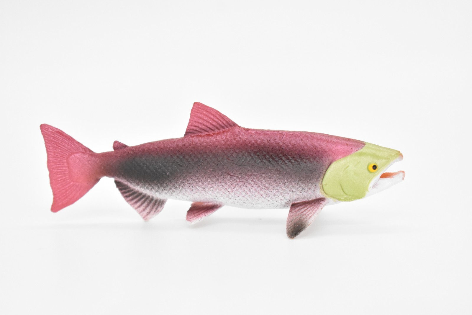 Salmon, Life Cycle, Educational, Plastic, Model, Figure, Fish, Figurine, 5 Piece