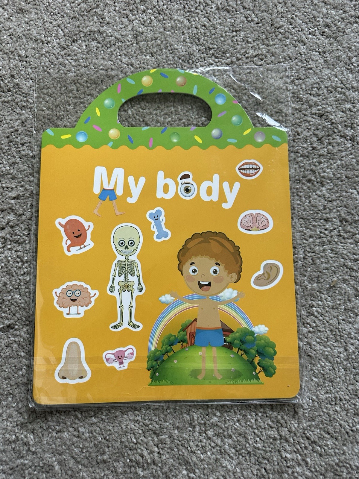 Sticker Books For Kids- Human Body/ Reusable Stickers