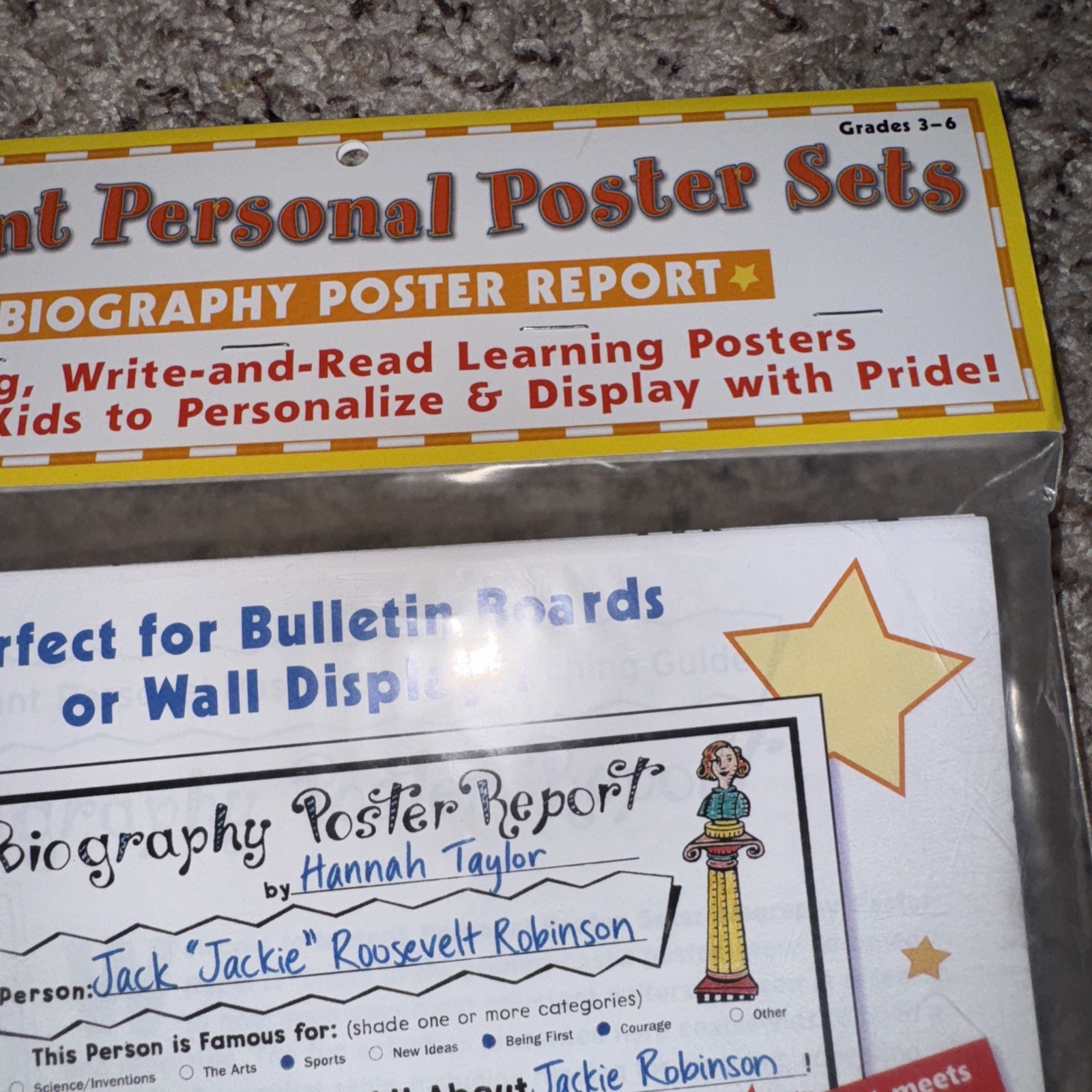 Instant Personal Poster Sets Biography Poster Report 30 Posters Teaching Kit