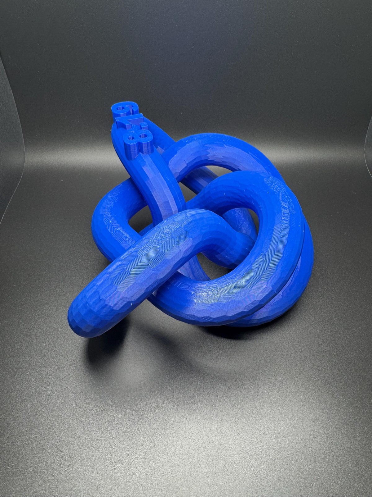 3D Printed 8-19 Knot Art Sculpture – Unique Gift for Home Decor, Modern Art,