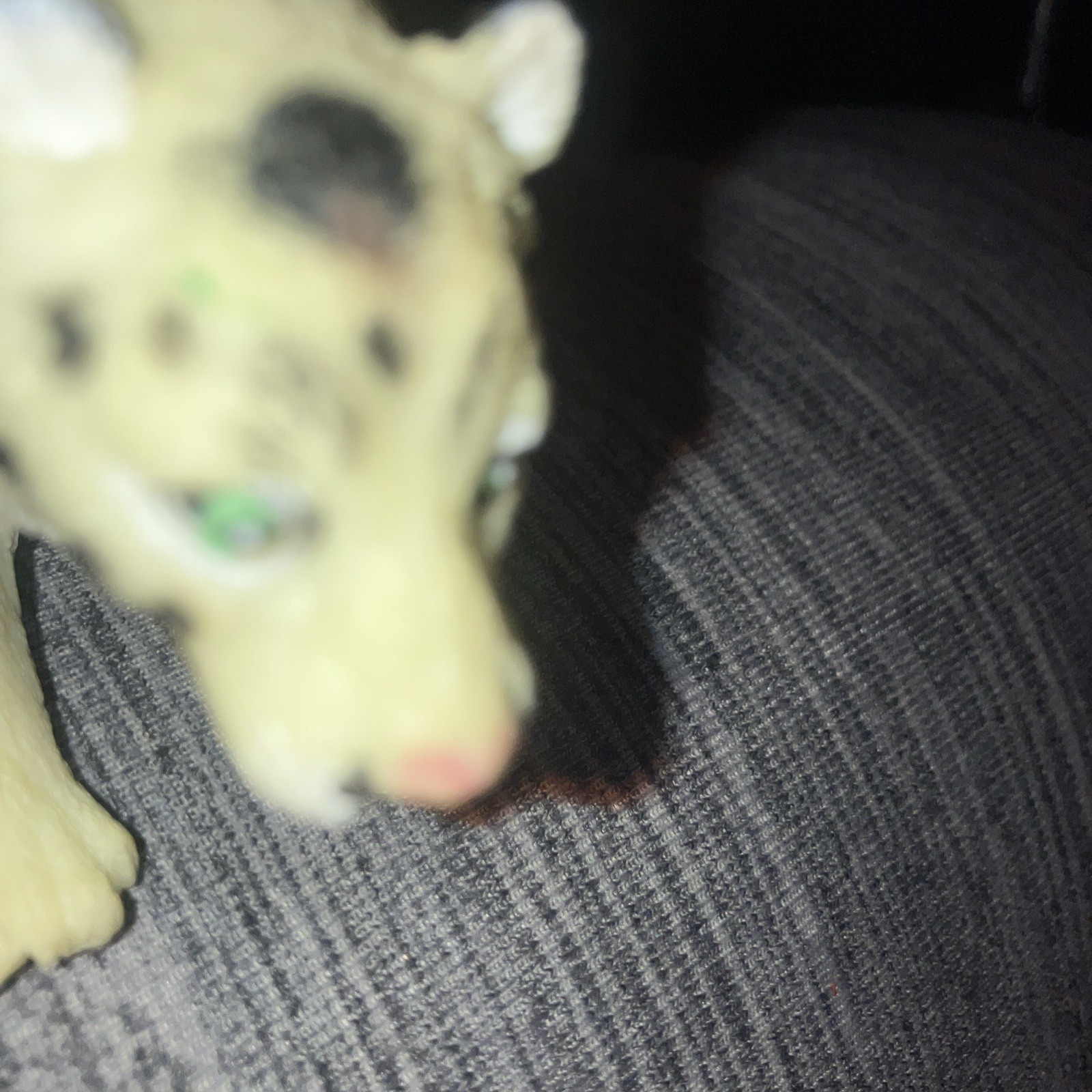 Snow Leopard Very Nice Plastic Replica 6″W x 3″H ~ F4413-B191
