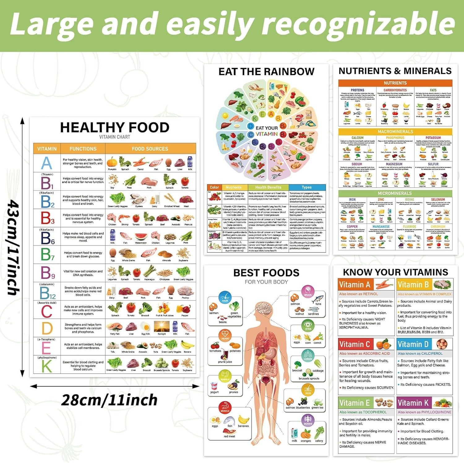 5 Piece Vitamin and Mineral Chart Laminated Food Poster for Kitchen Classroom