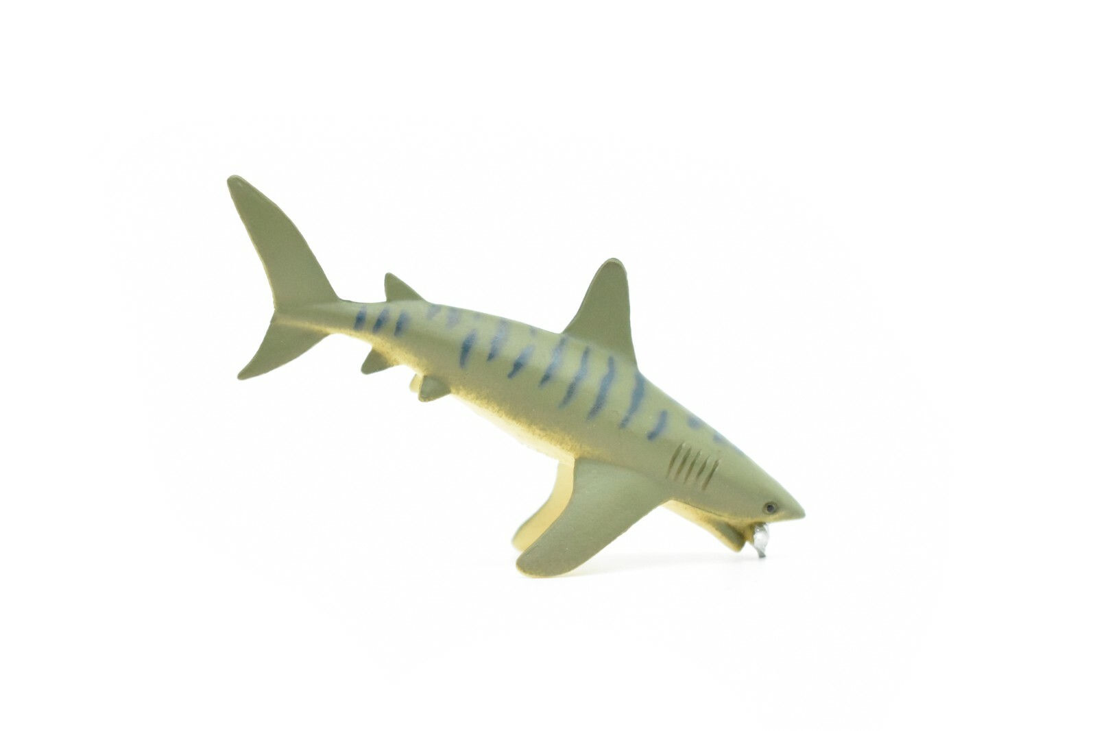 Tiger Shark, With Fish in Mouth, Very Nice Plastic Replica 3″ – F237 B76