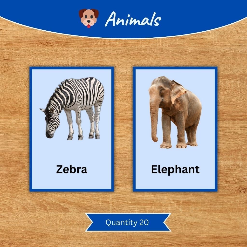 Printable Kids Flash Cards Bundle | Fruits, Vegetables, Animals, Birds, Fish
