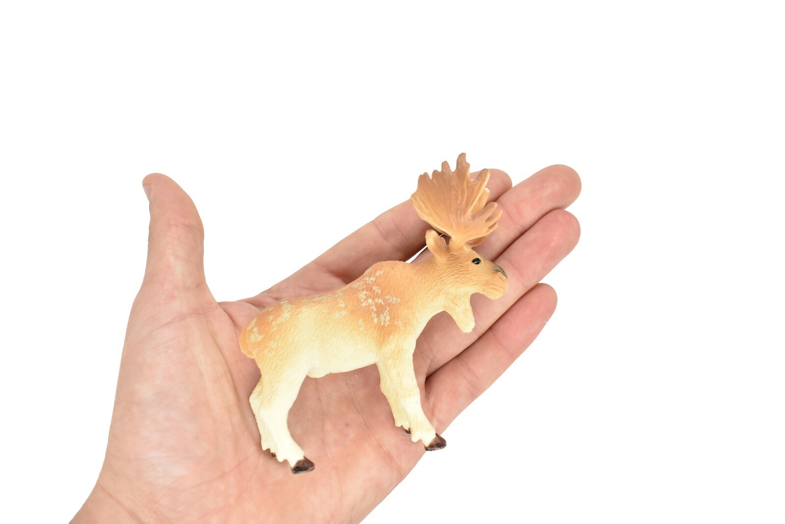 Moose Toy Model Plastic Replica Forest Animal, Kids Educational Gift 4.5″ OK09