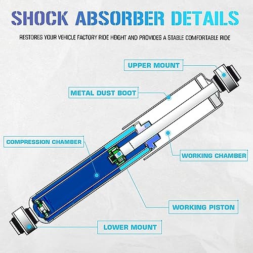 Rear Complete Struts Compatible with 10-17 GMC Terrain / 05-17 Chevy Equinox /