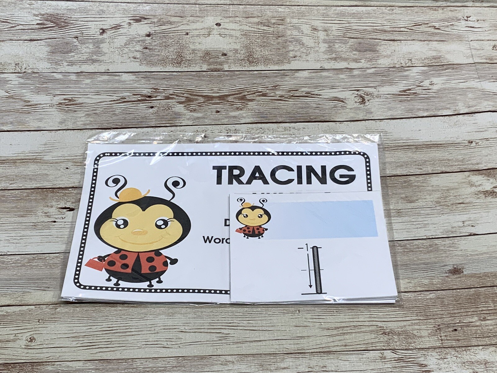 Lady Bug – Themed Learning Centers – Laminated – Tracing Numbers