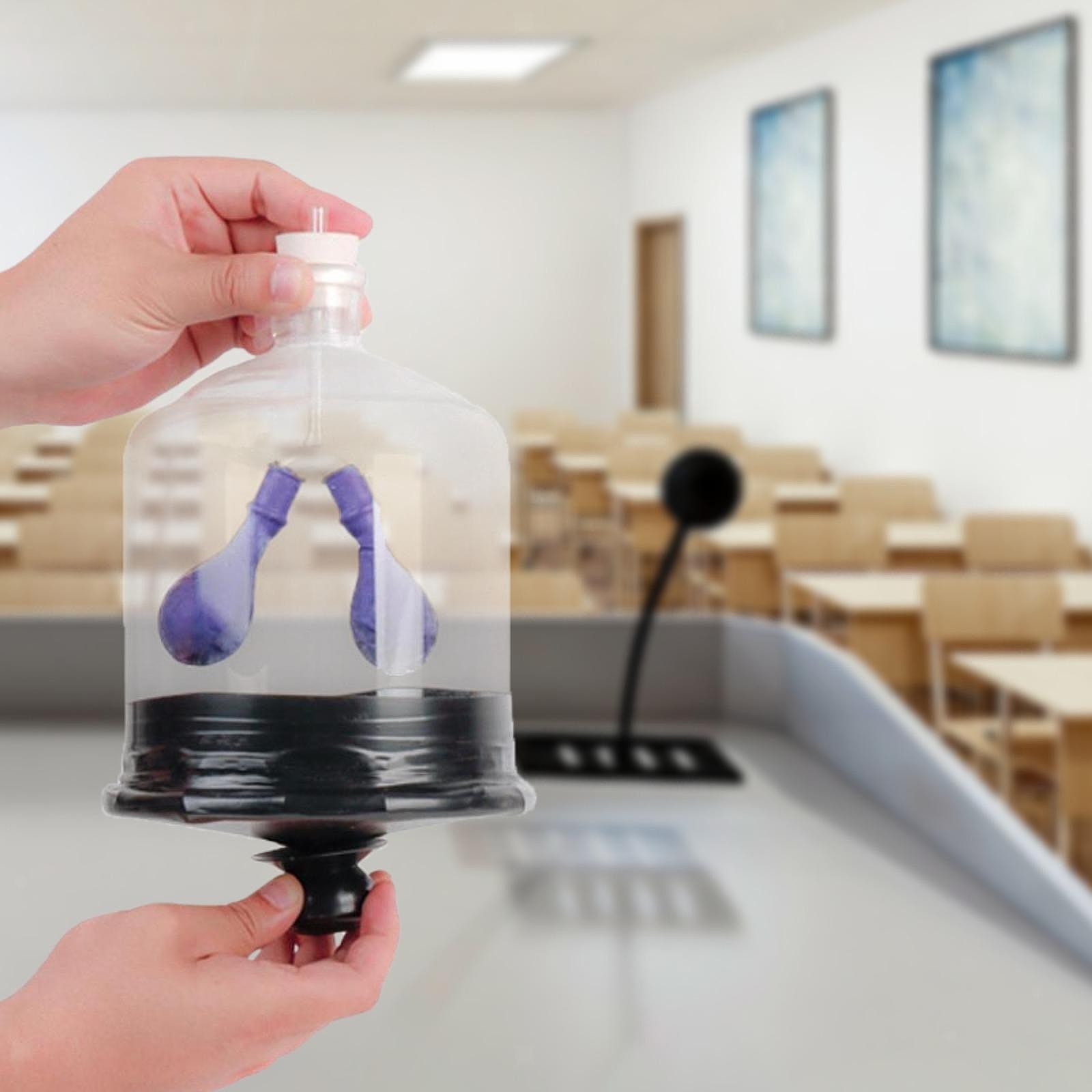 Lung Demonstration Model Lung Breathing Model DIY Projects Experiment Teaching