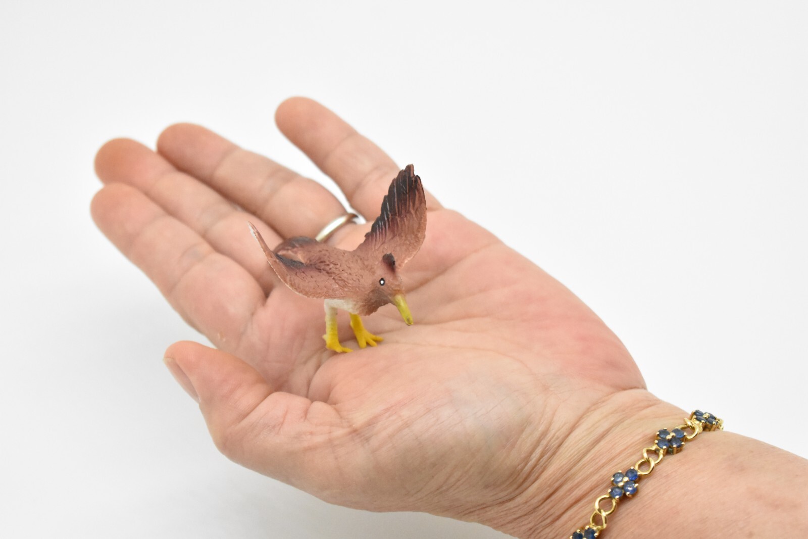 Roadrunner, Bird Toy, Very Nice Plastic Model, Hand Painted 3″ F623 B131